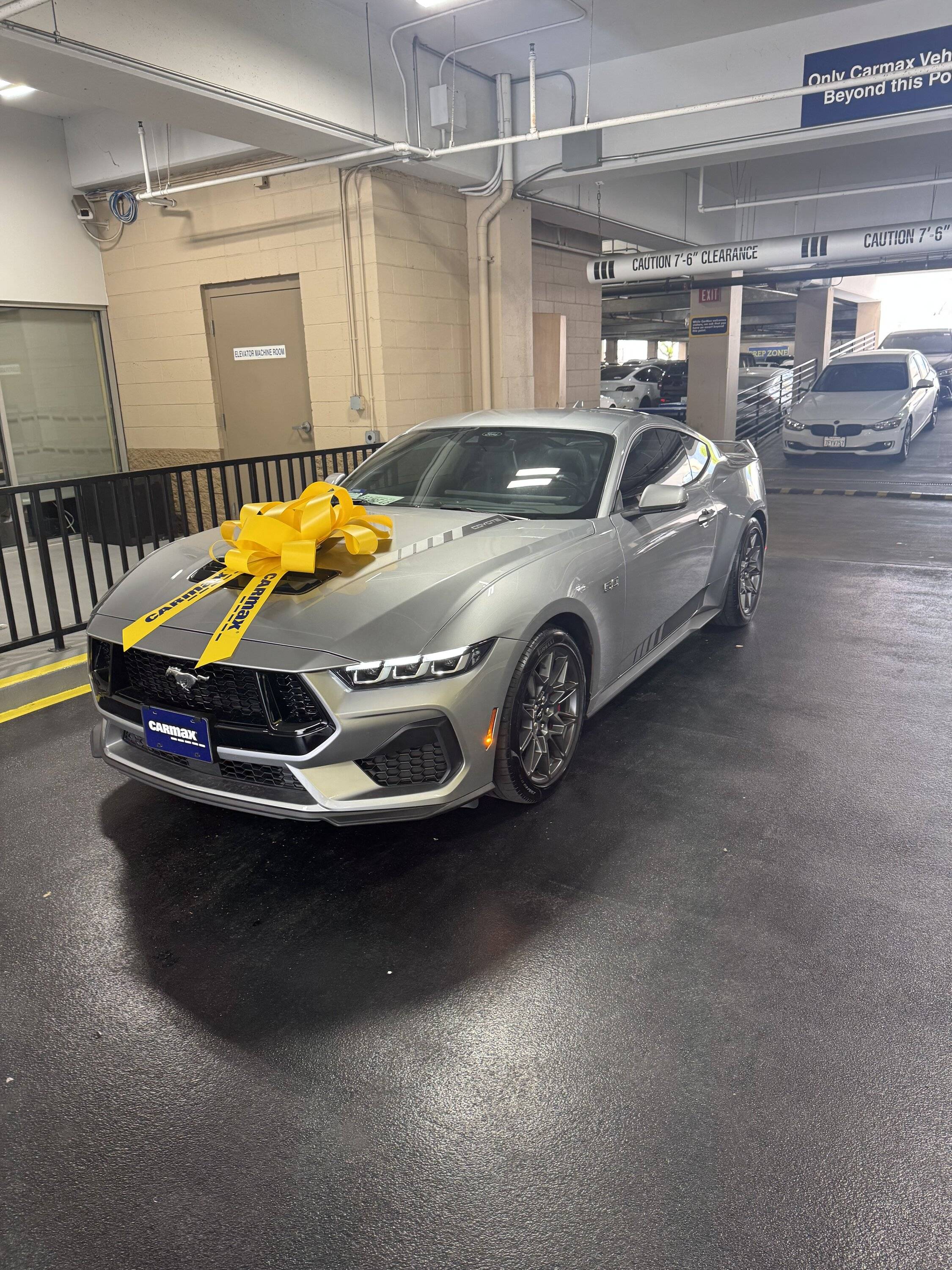 S650 Mustang What do you guys think of these decals IMG_5775