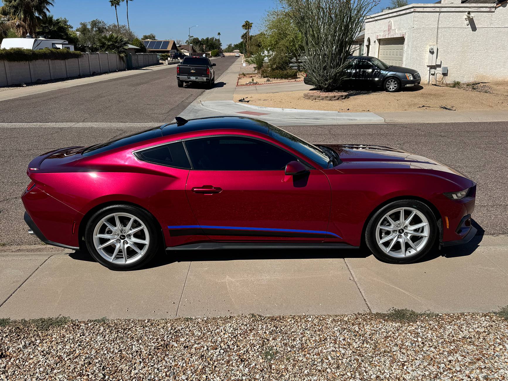 S650 Mustang Official MOLTEN MAGENTA Mustang S650 Thread IMG_5840.JPG