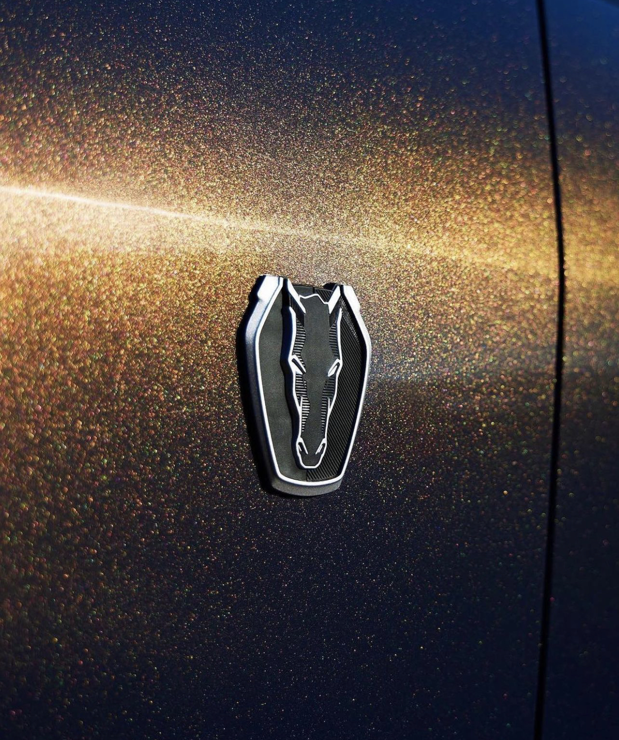 S650 Mustang Hmm… Dark Horse emblem? IMG_5977