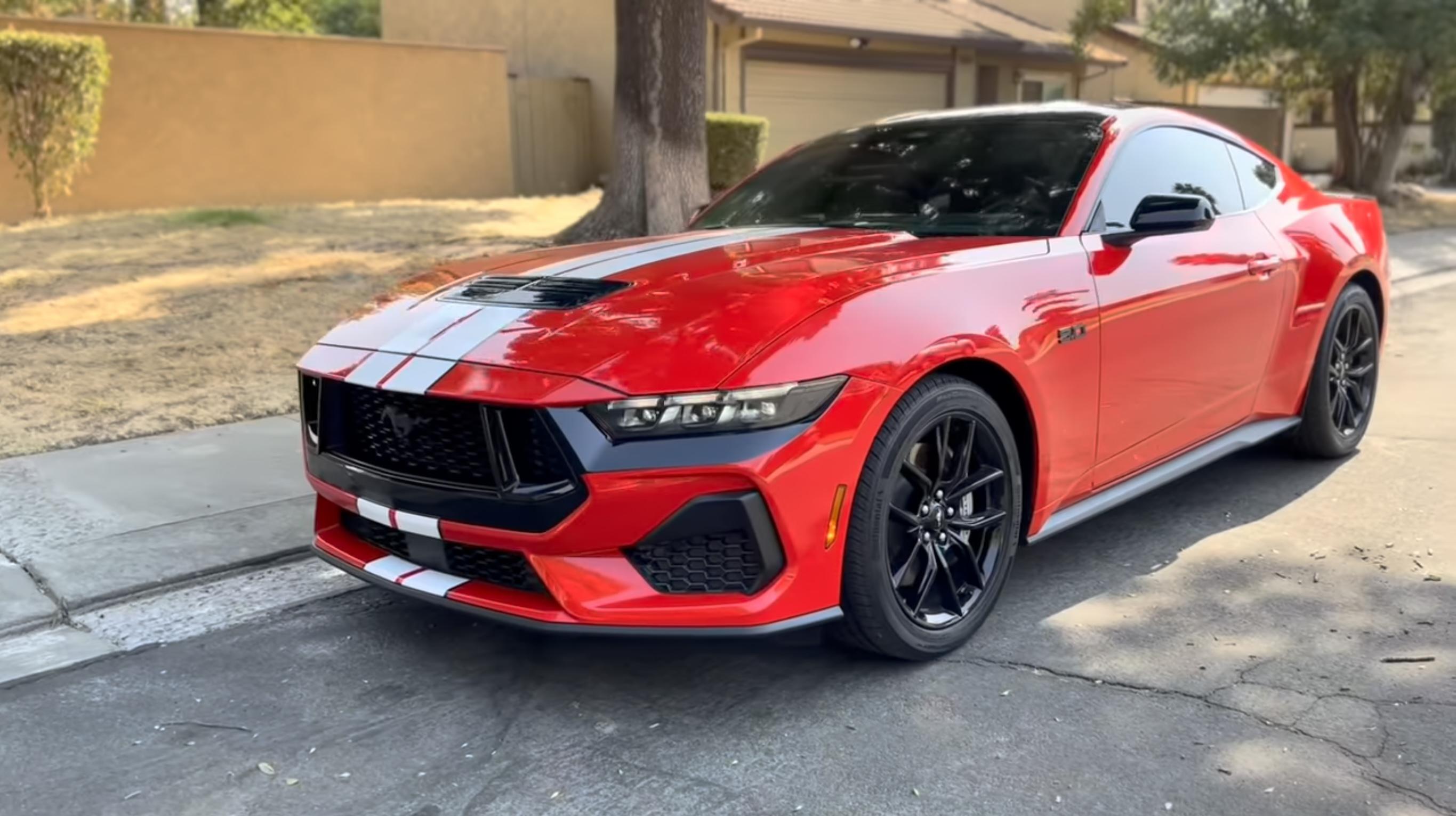 S650 Mustang Any company making stripe kits? IMG_6127