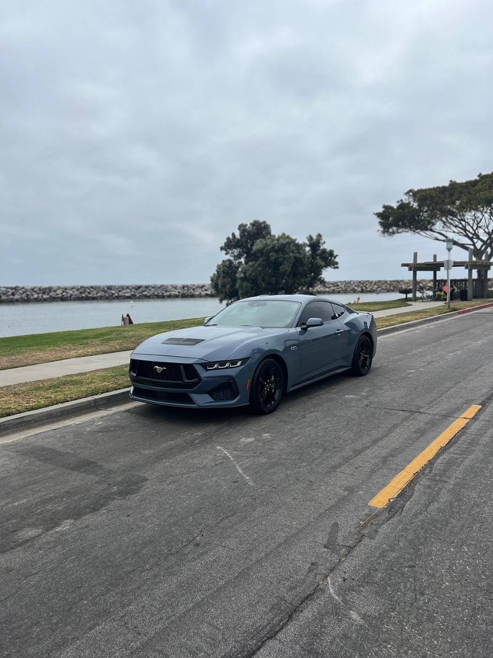 S650 Mustang Free Christmas Giveaway by Screen Protech IMG_6200