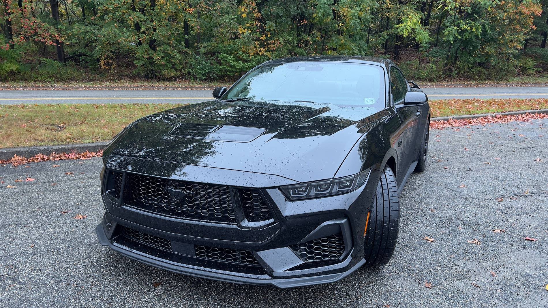 S650 Mustang Official SHADOW BLACK Mustang S650 Thread IMG_6272