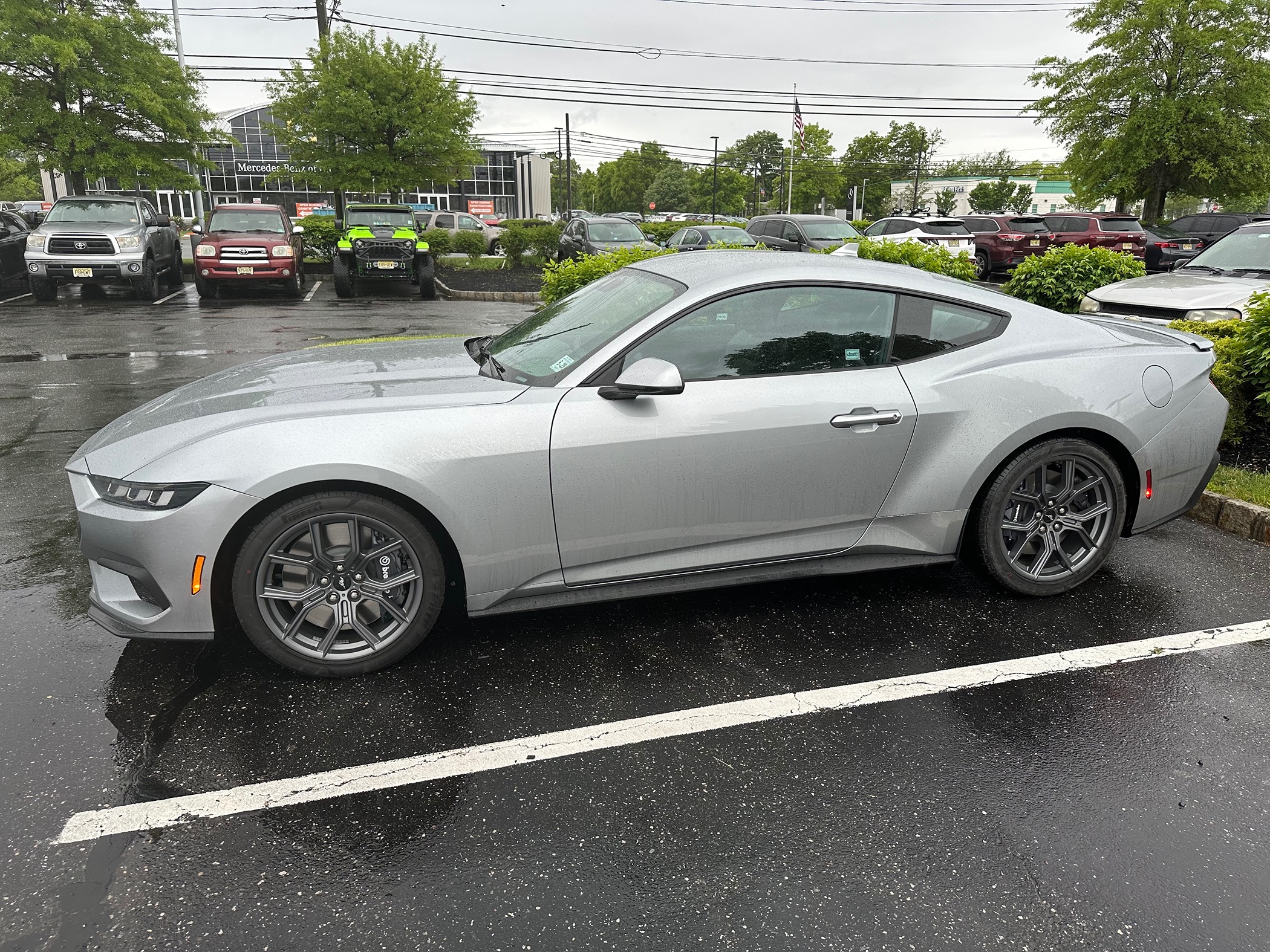 S650 Mustang Can you believe my crappy luck?!?! (but damn good dealership!) IMG_6279
