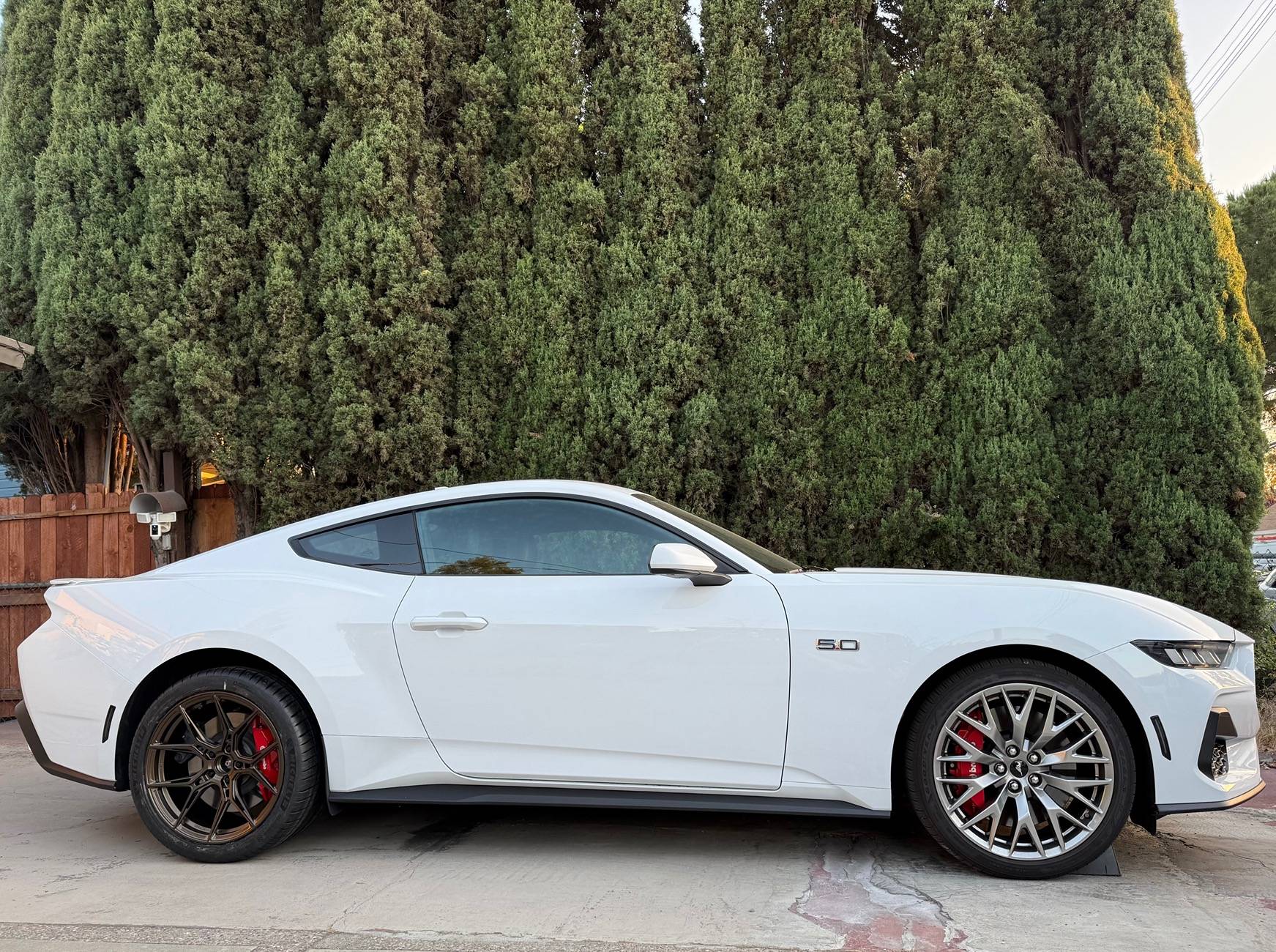 S650 Mustang Anyone Running Variant Wheels Evo line? IMG_6356