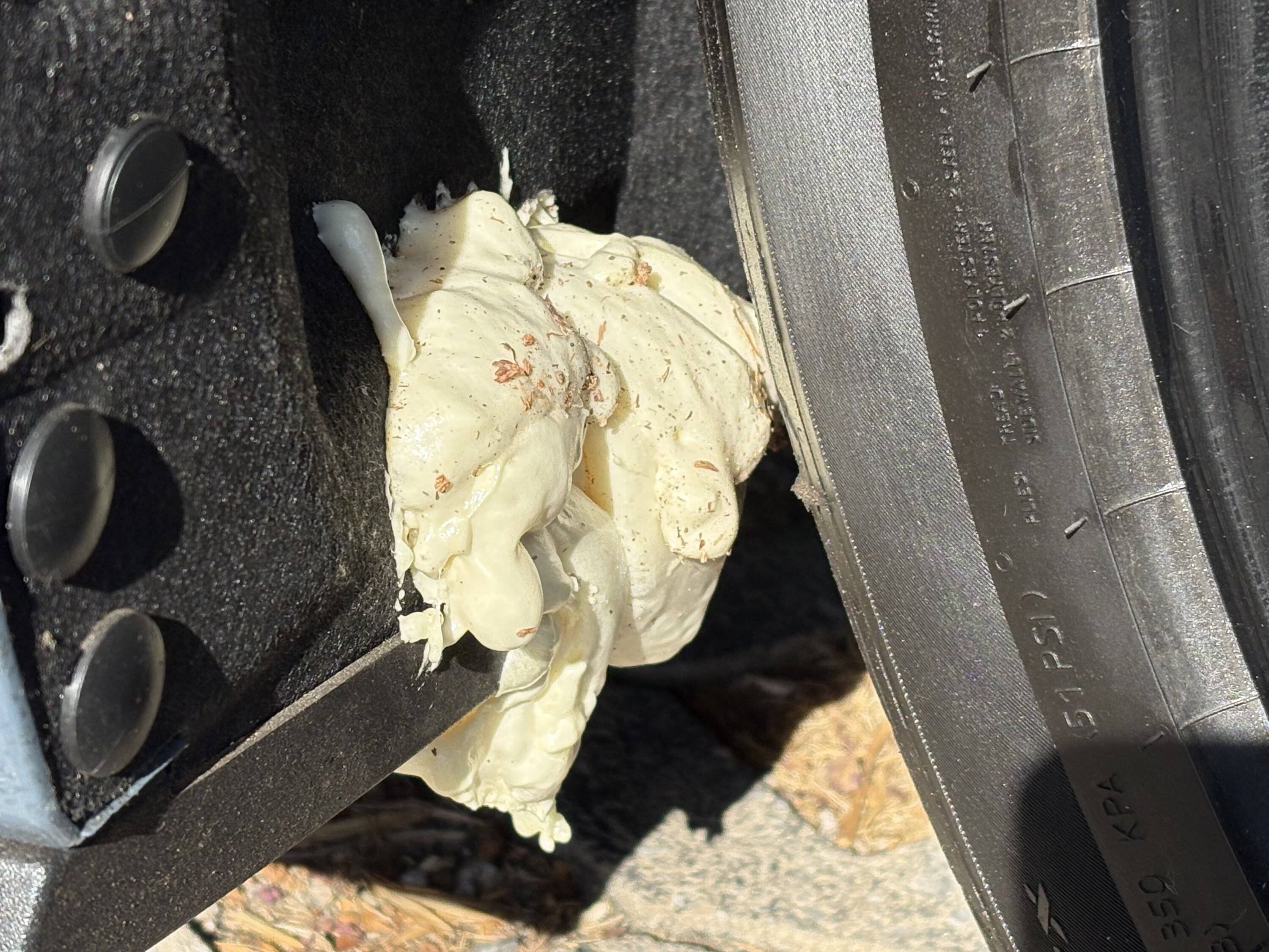 S650 Mustang Cheap temporary inner fender hole solution IMG_6449
