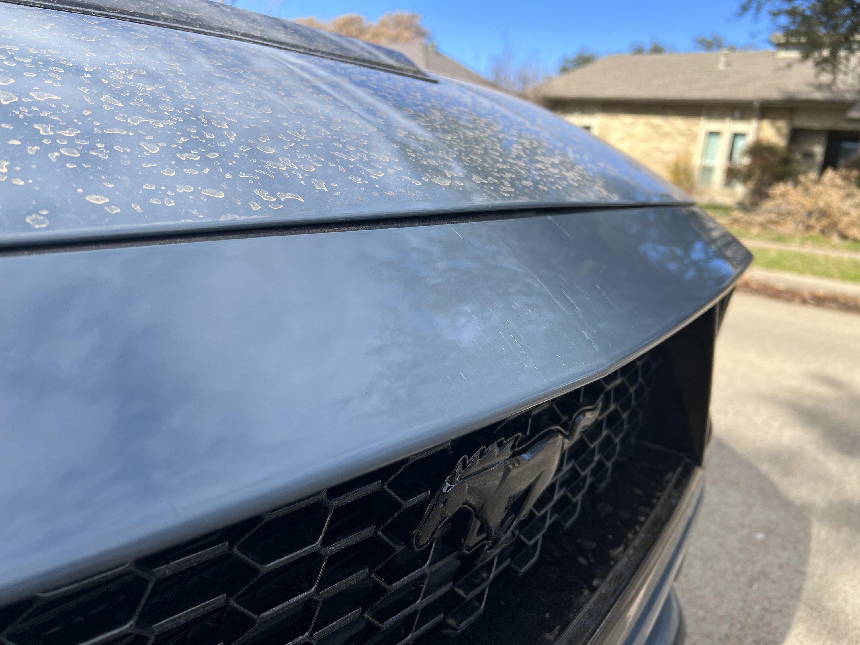 S650 Mustang Got backed into, how bad does the damage look? Next steps? IMG_6760