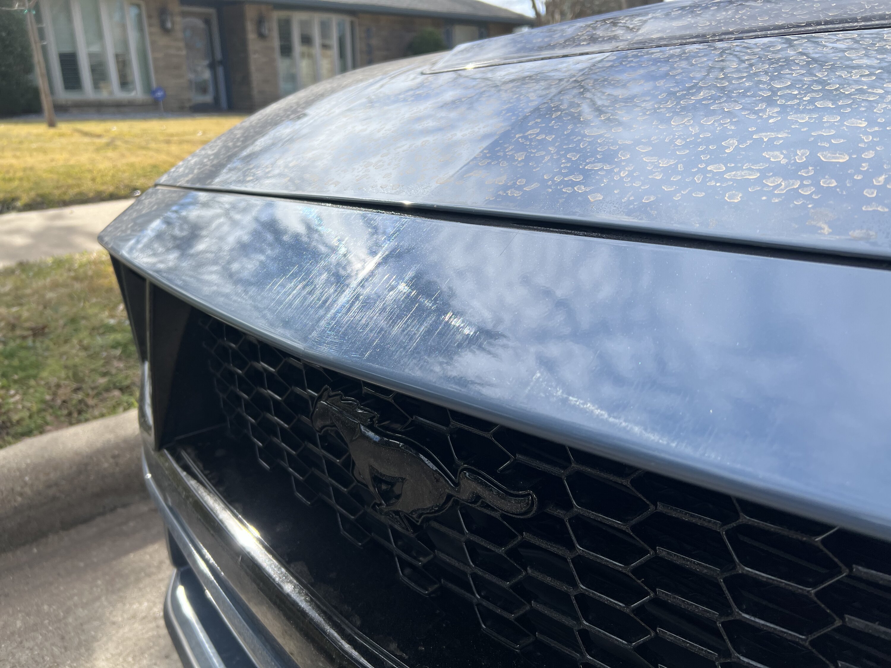S650 Mustang Got backed into, how bad does the damage look? Next steps? IMG_6761