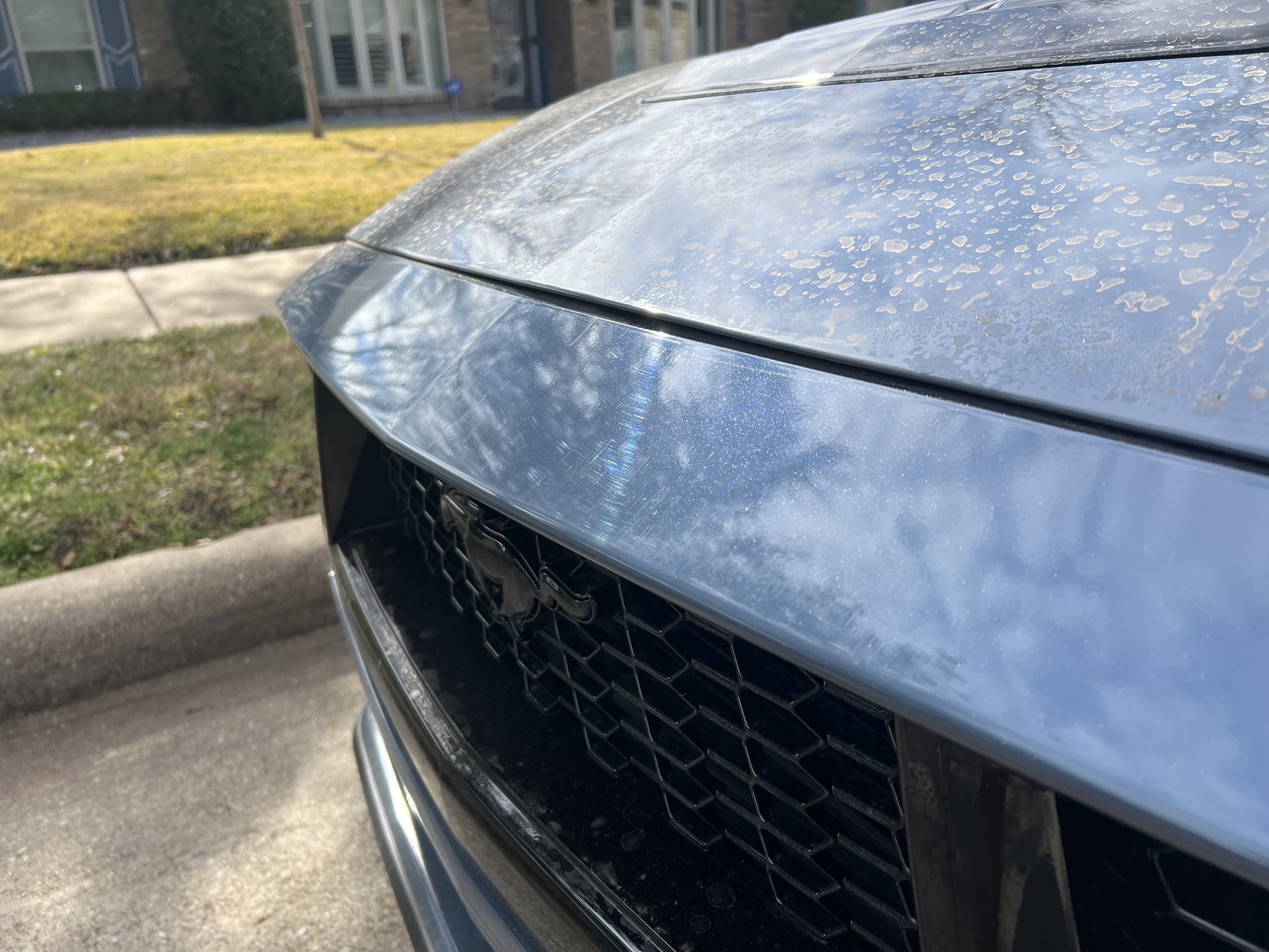 S650 Mustang Got backed into, how bad does the damage look? Next steps? IMG_6762