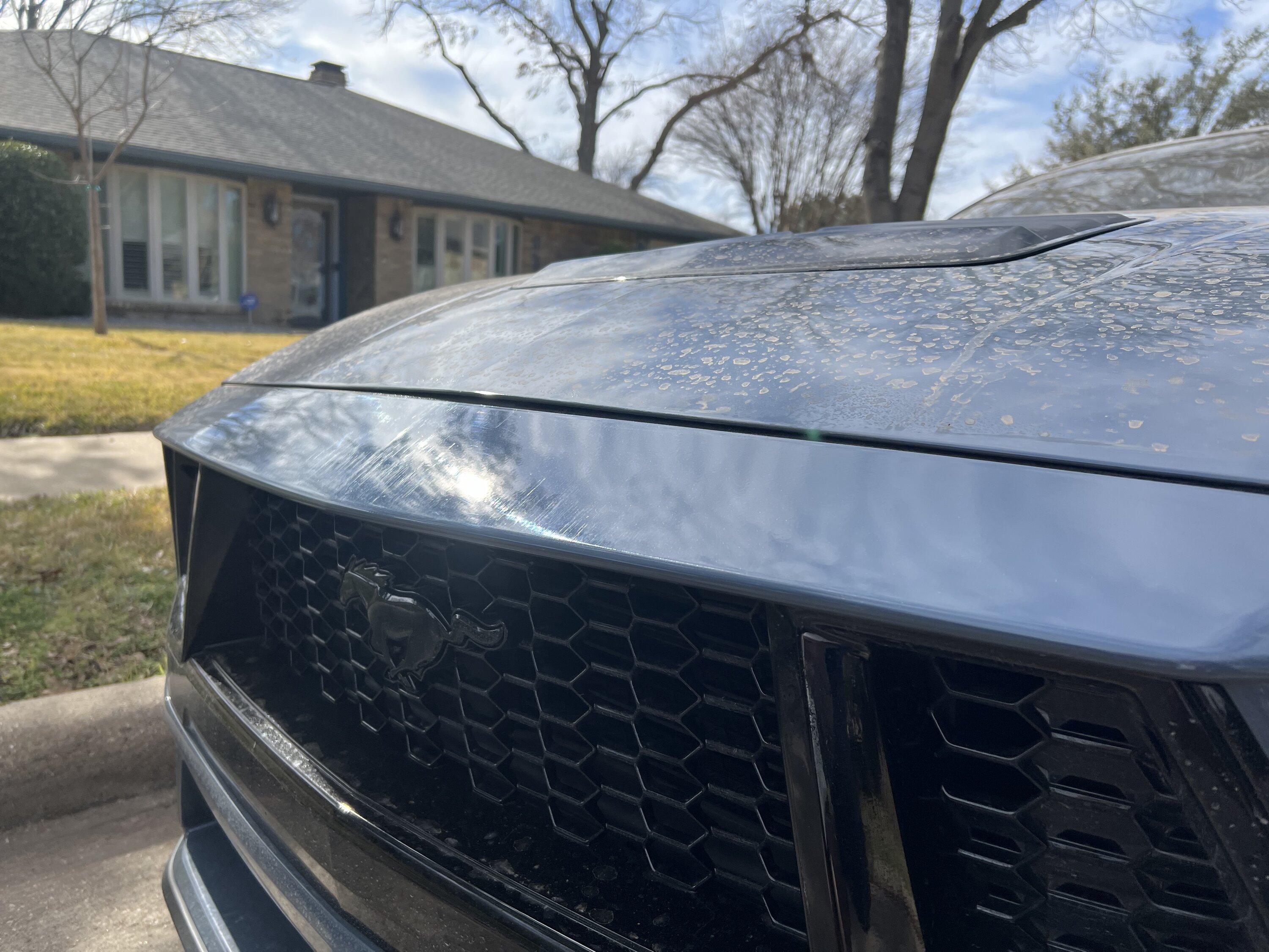 S650 Mustang Got backed into, how bad does the damage look? Next steps? IMG_6763