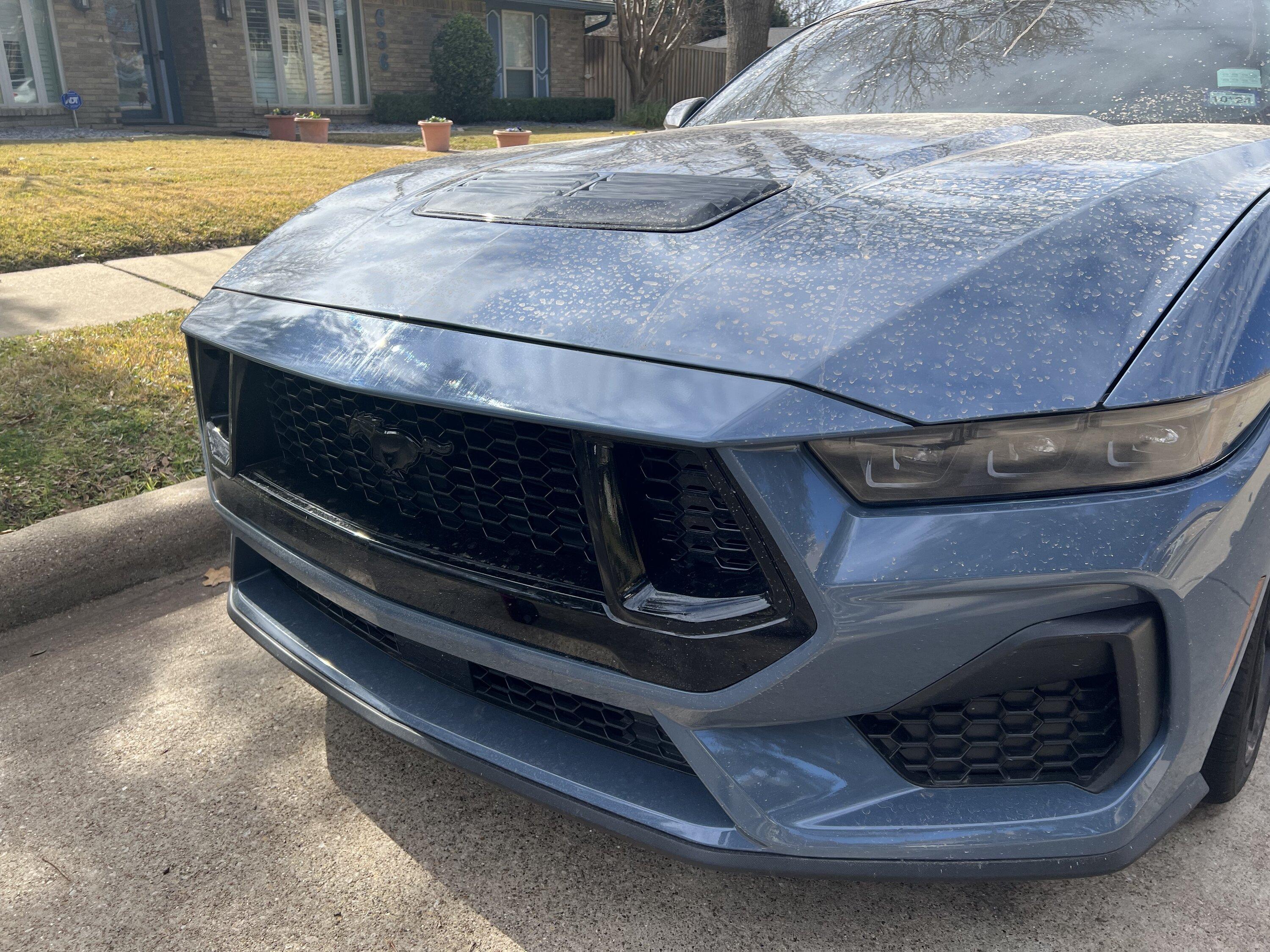 S650 Mustang Got backed into, how bad does the damage look? Next steps? IMG_6764