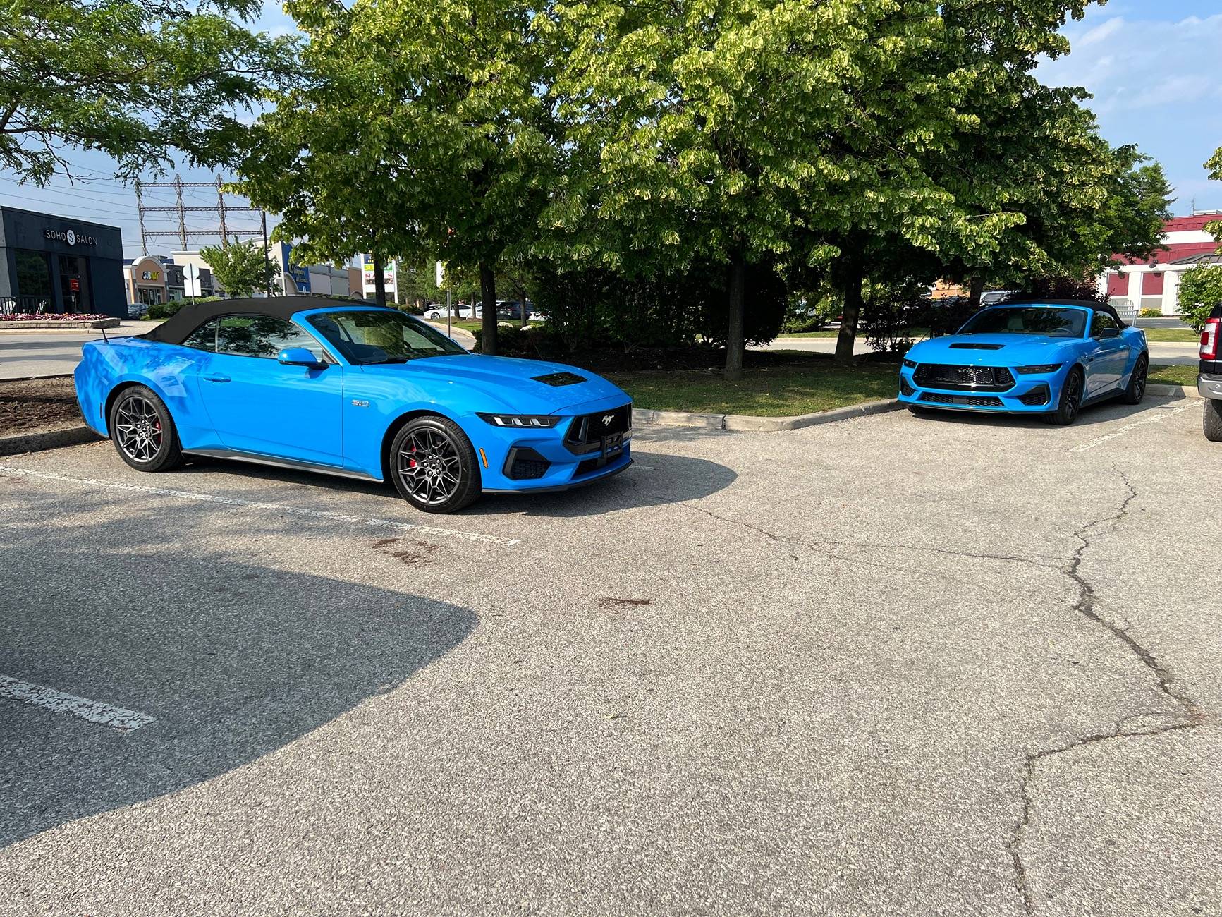 S650 Mustang My twin found me -- 2024 GT Grabber Blue IMG_6768