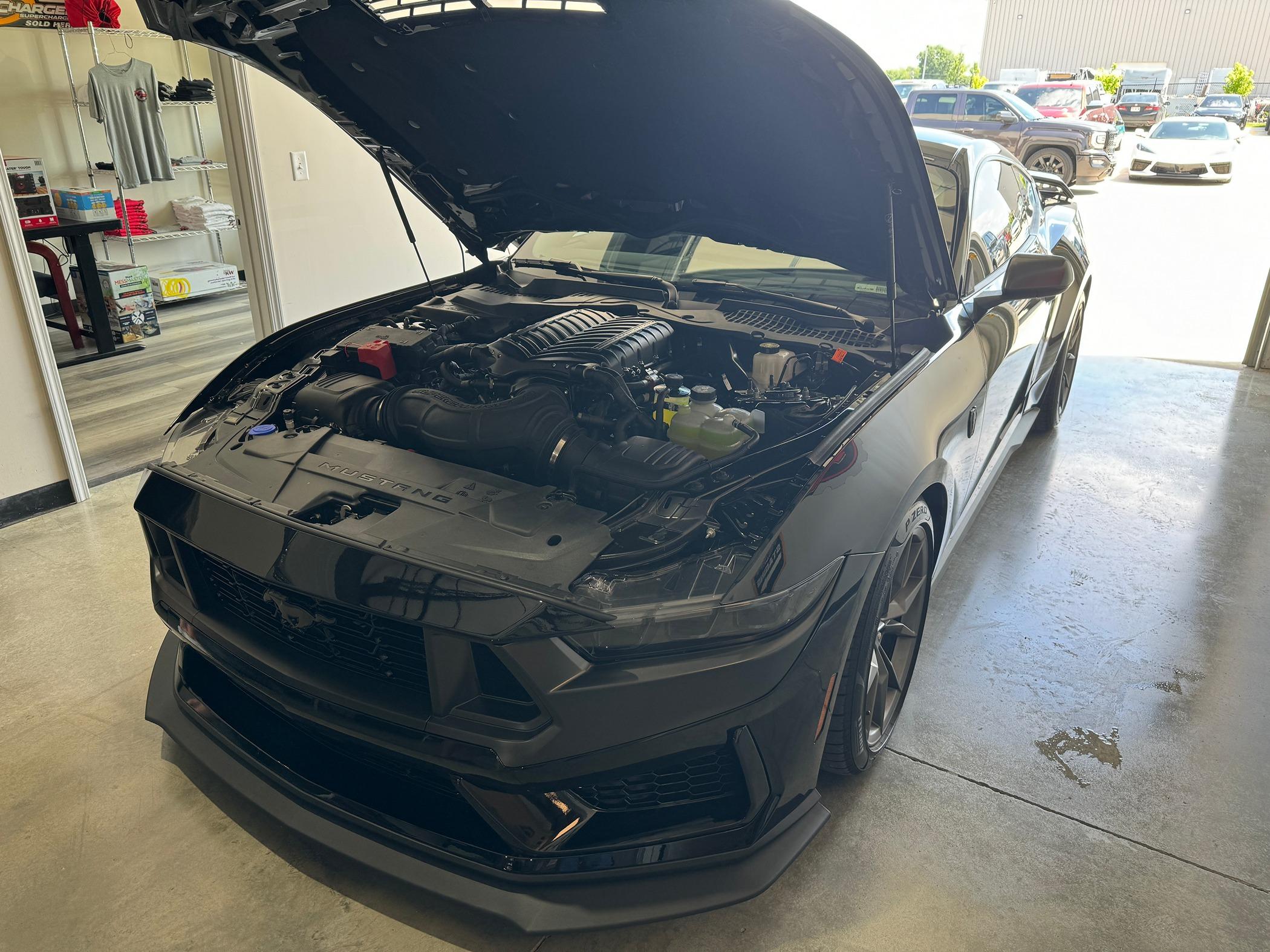 S650 Mustang 6 speed Whippled Dark Horse fun/fast? IMG_6805.JPG