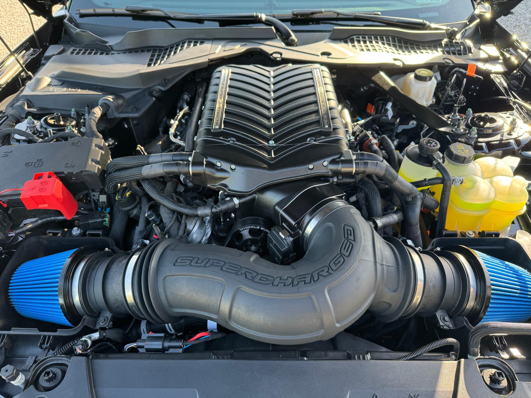 S650 Mustang 6 speed Whippled Dark Horse fun/fast? IMG_6817.JPG