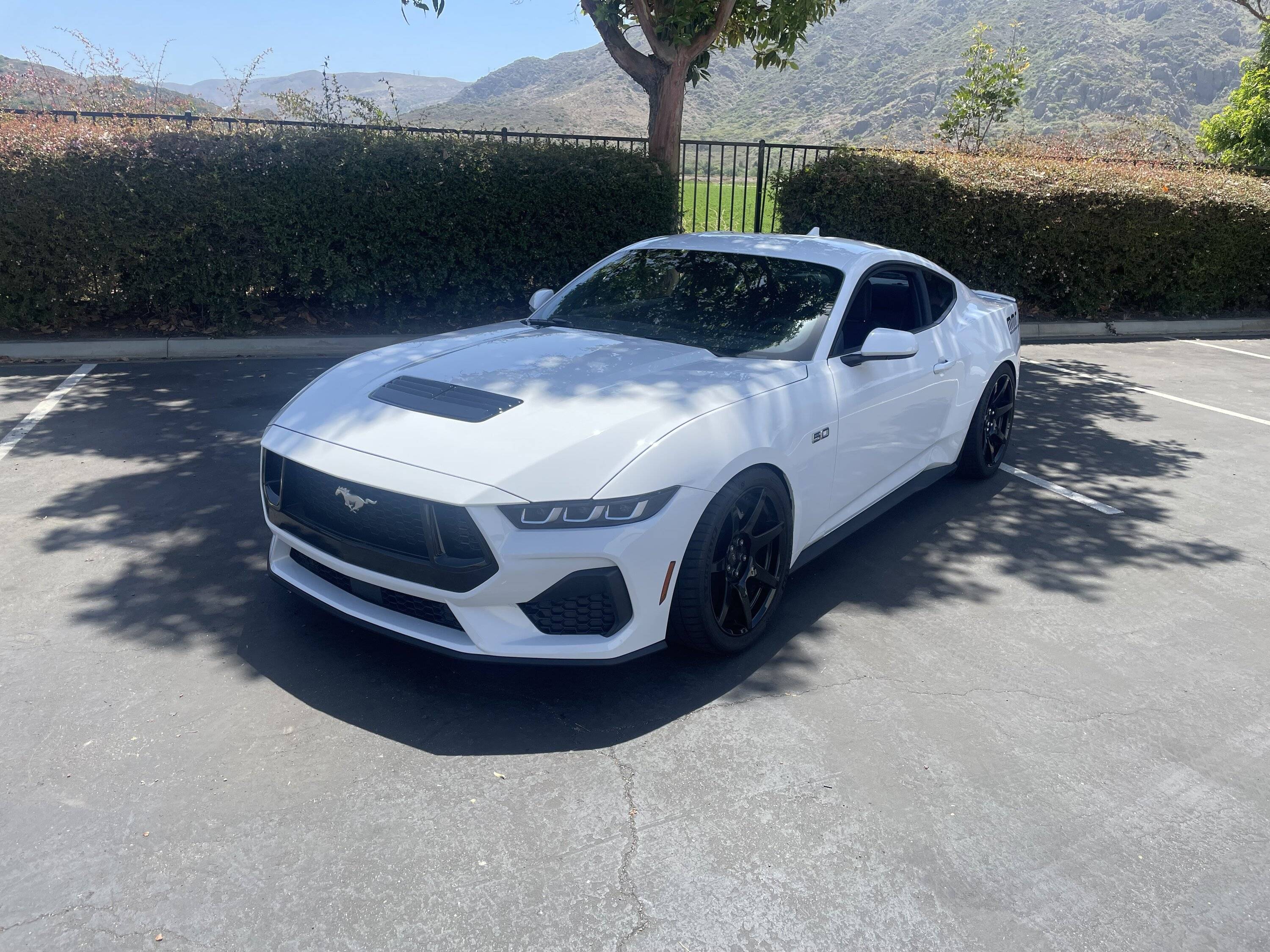 S650 Mustang Project 2024 Global Time Attack UNLIMITED S650 Build IMG_6820