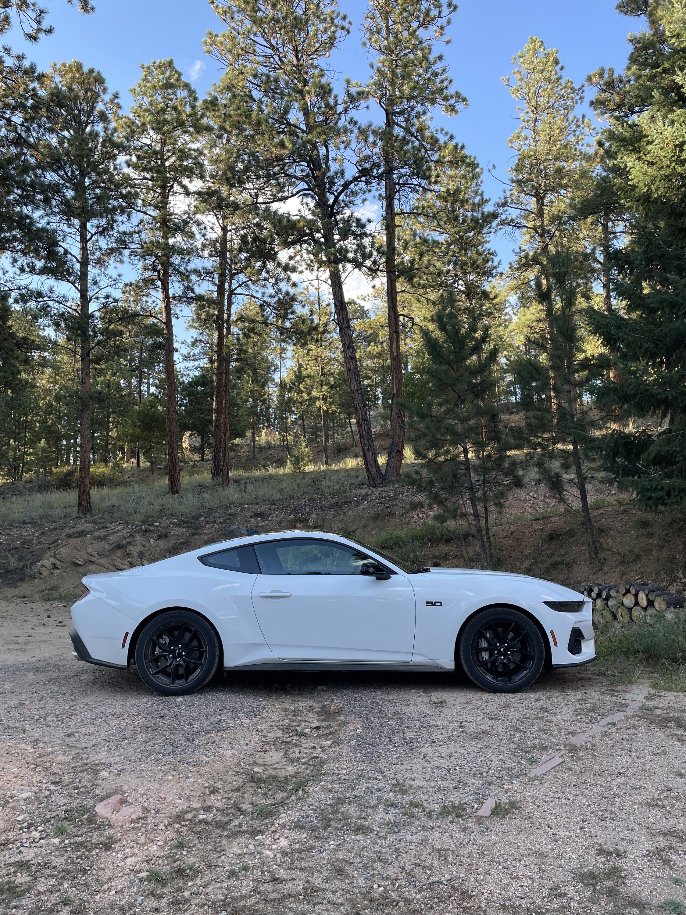 S650 Mustang BUILT & SHIPPED !! Tracker update 2023: What's your status? IMG_6923