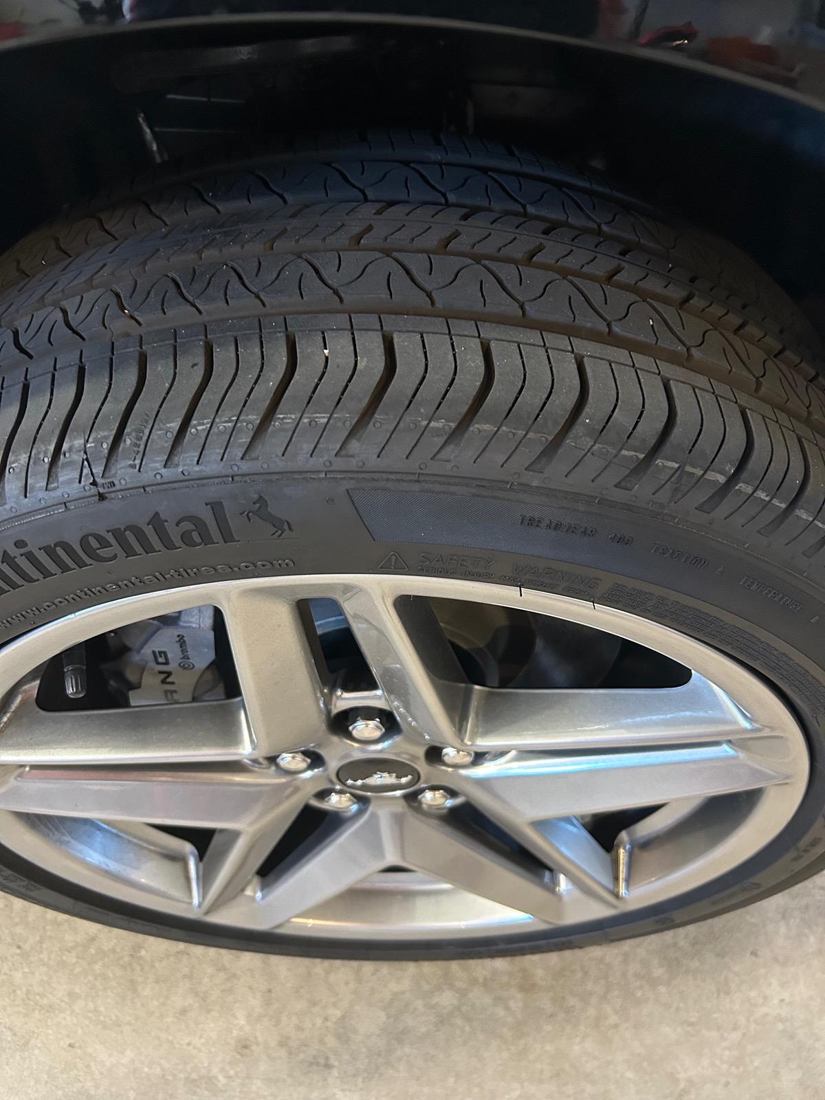 S650 Mustang BMR SP763 lowering springs DIY install - impressions & photos IMG_7030