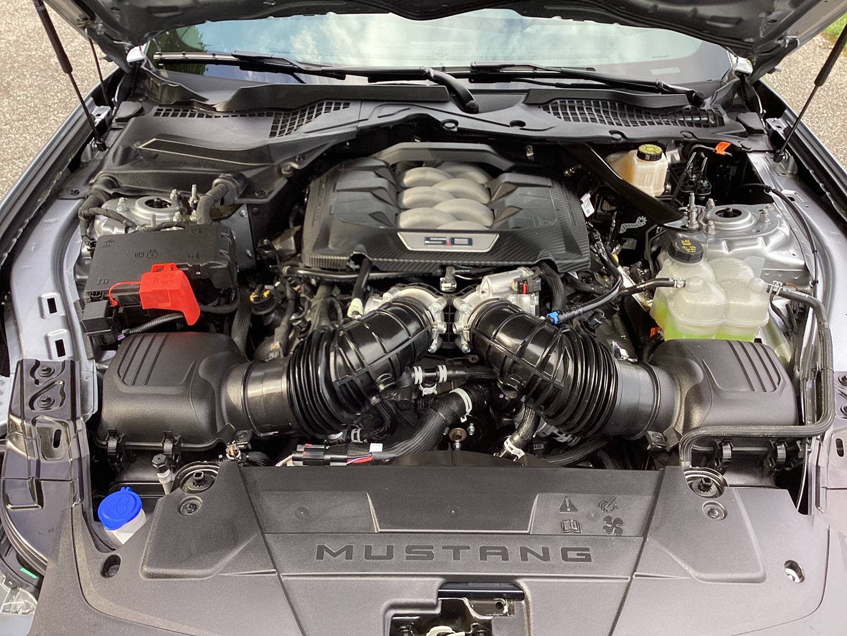 S650 Mustang Favourite All Purpose Cleaner for Engine Bay? IMG_7093