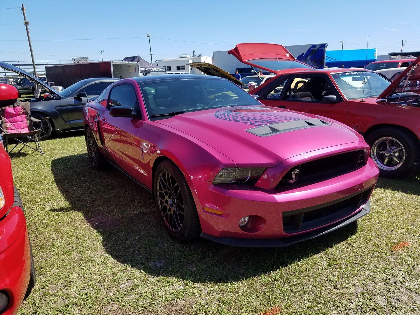 S650 Mustang What would you do....I'm torn IMG_7609