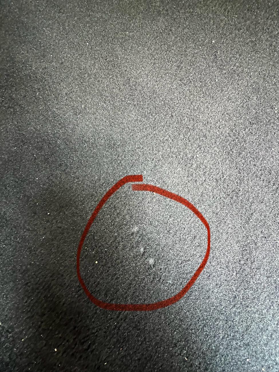 S650 Mustang WTF, carpet is disintegrating on passenger floorboard IMG_7721