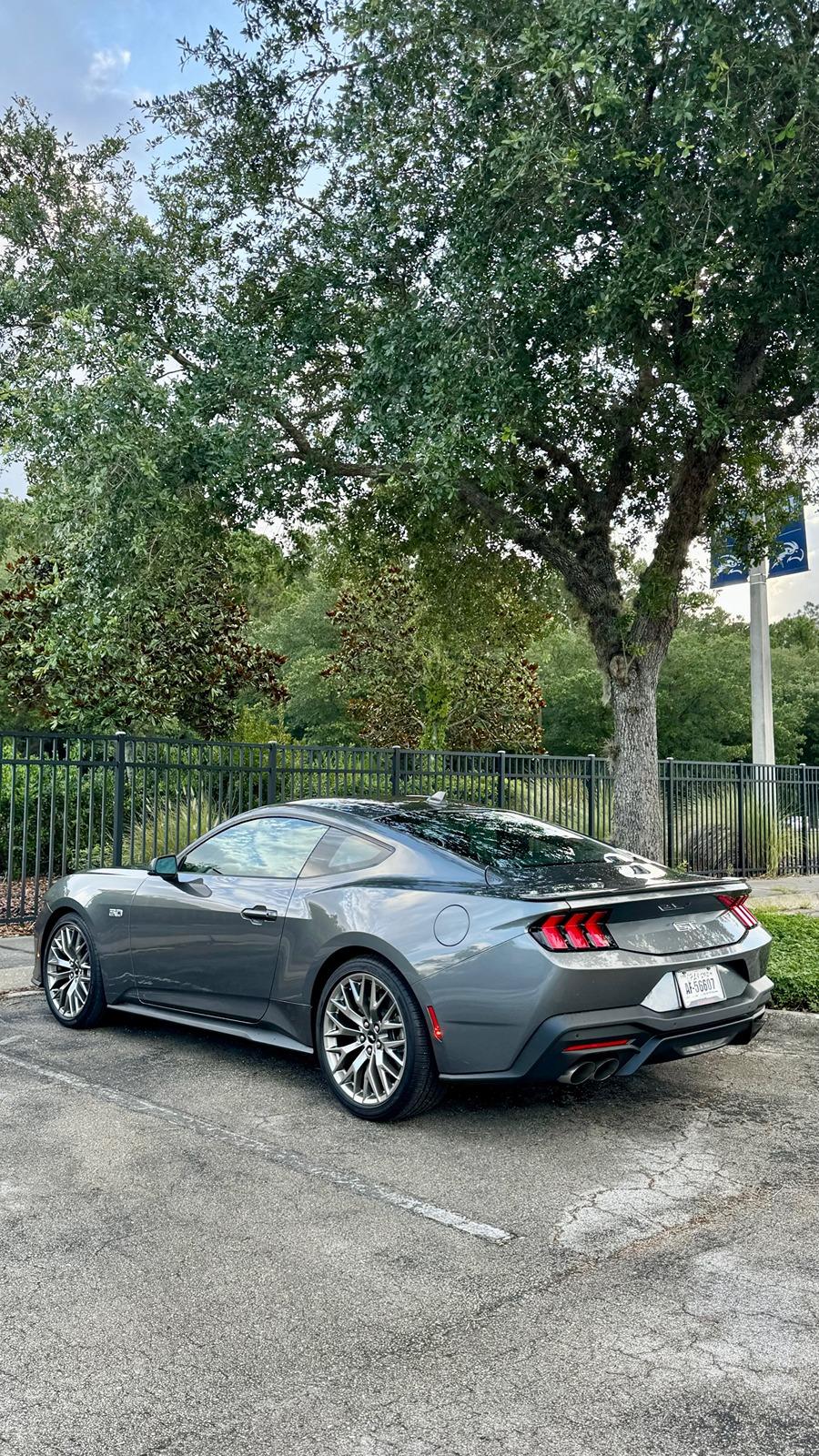S650 Mustang Introductions & Welcome Thread 👋 IMG_7730