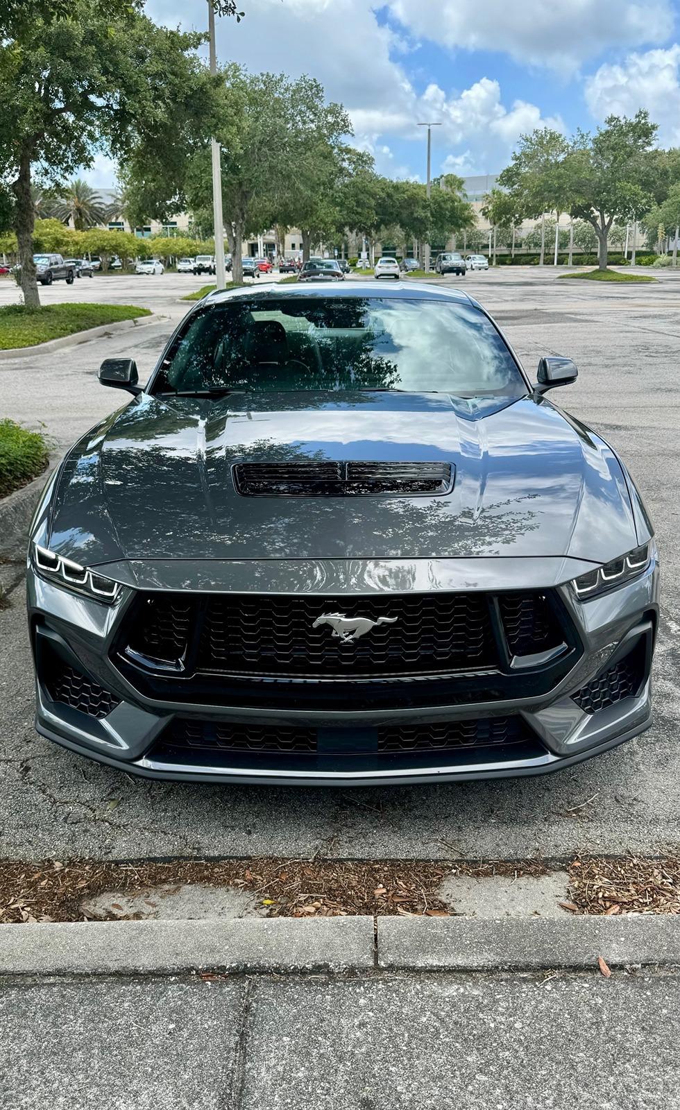 S650 Mustang Introductions & Welcome Thread 👋 IMG_7749