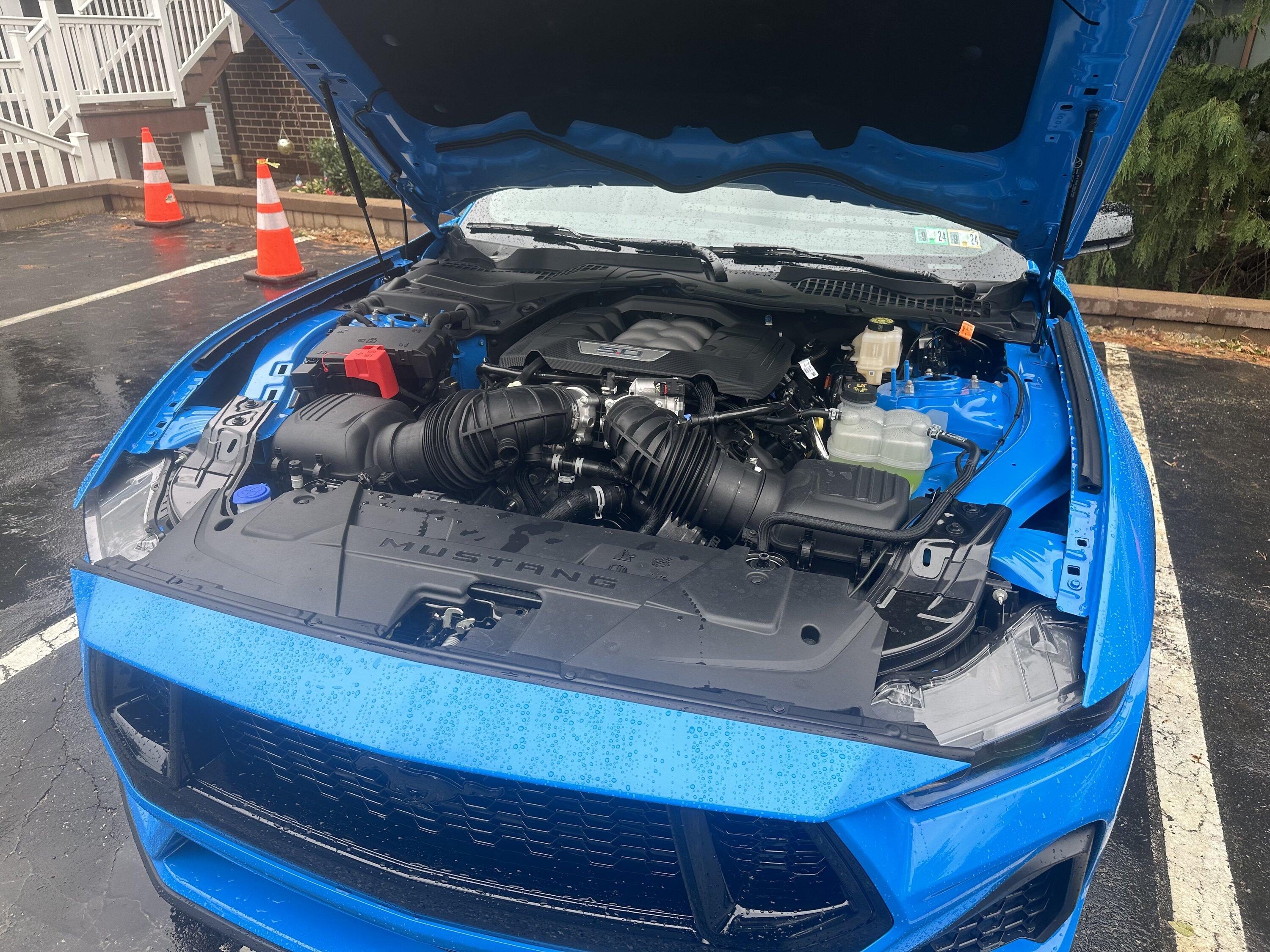 S650 Mustang Official GRABBER BLUE Mustang S650 Thread IMG_7783