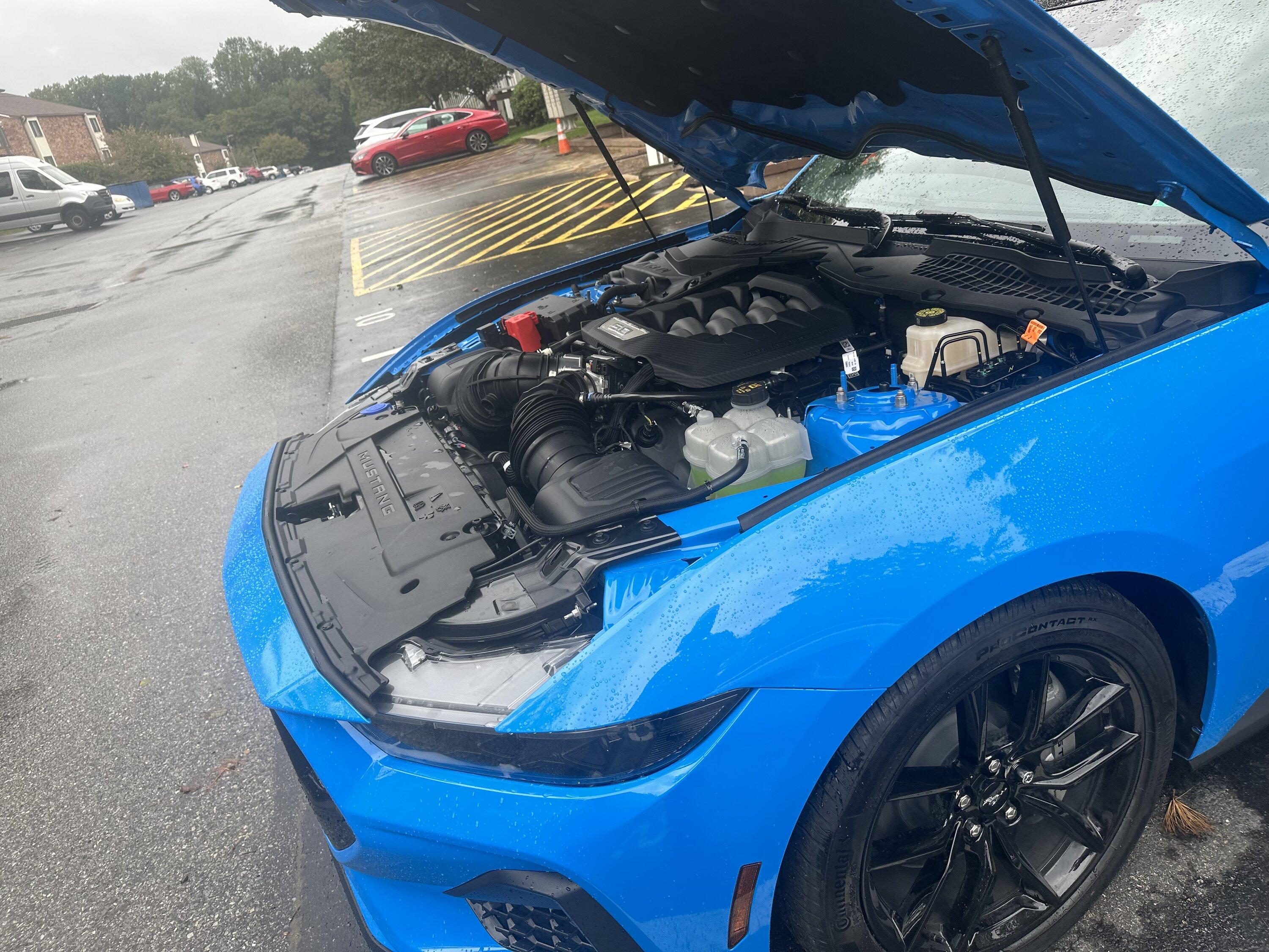 S650 Mustang Official GRABBER BLUE Mustang S650 Thread IMG_7784