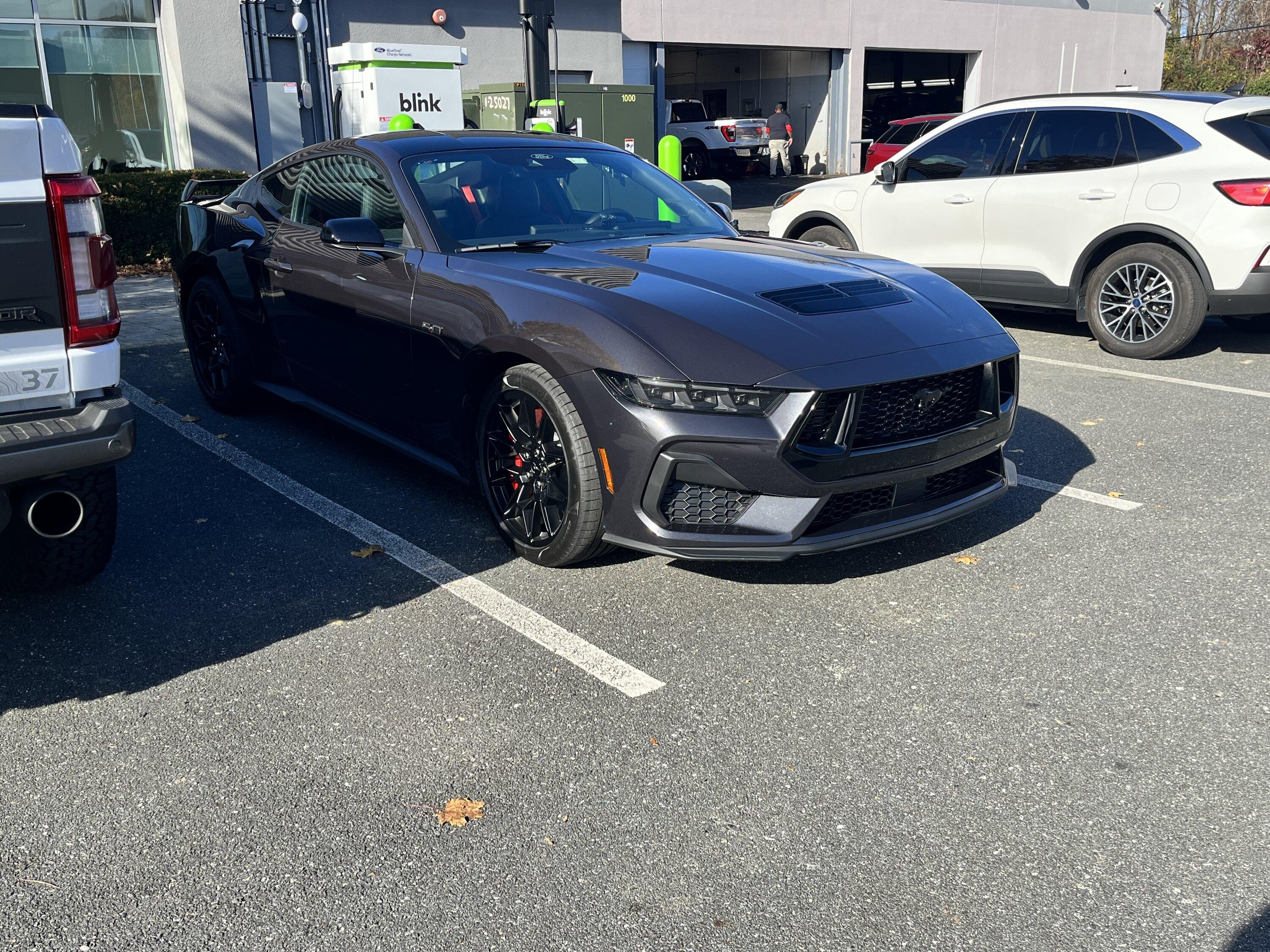 S650 Mustang Jersey Garage IMG_7839