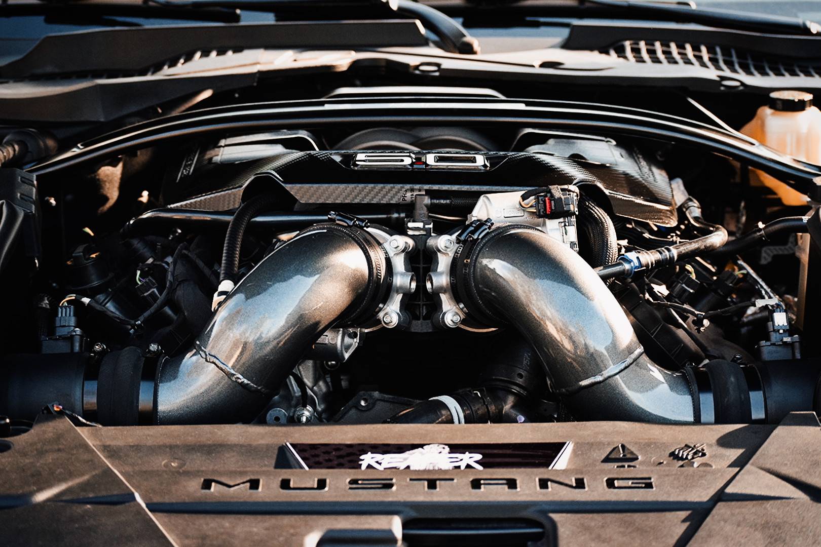 S650 Mustang Cecil county car show was a huge turnout IMG_7895_polarr