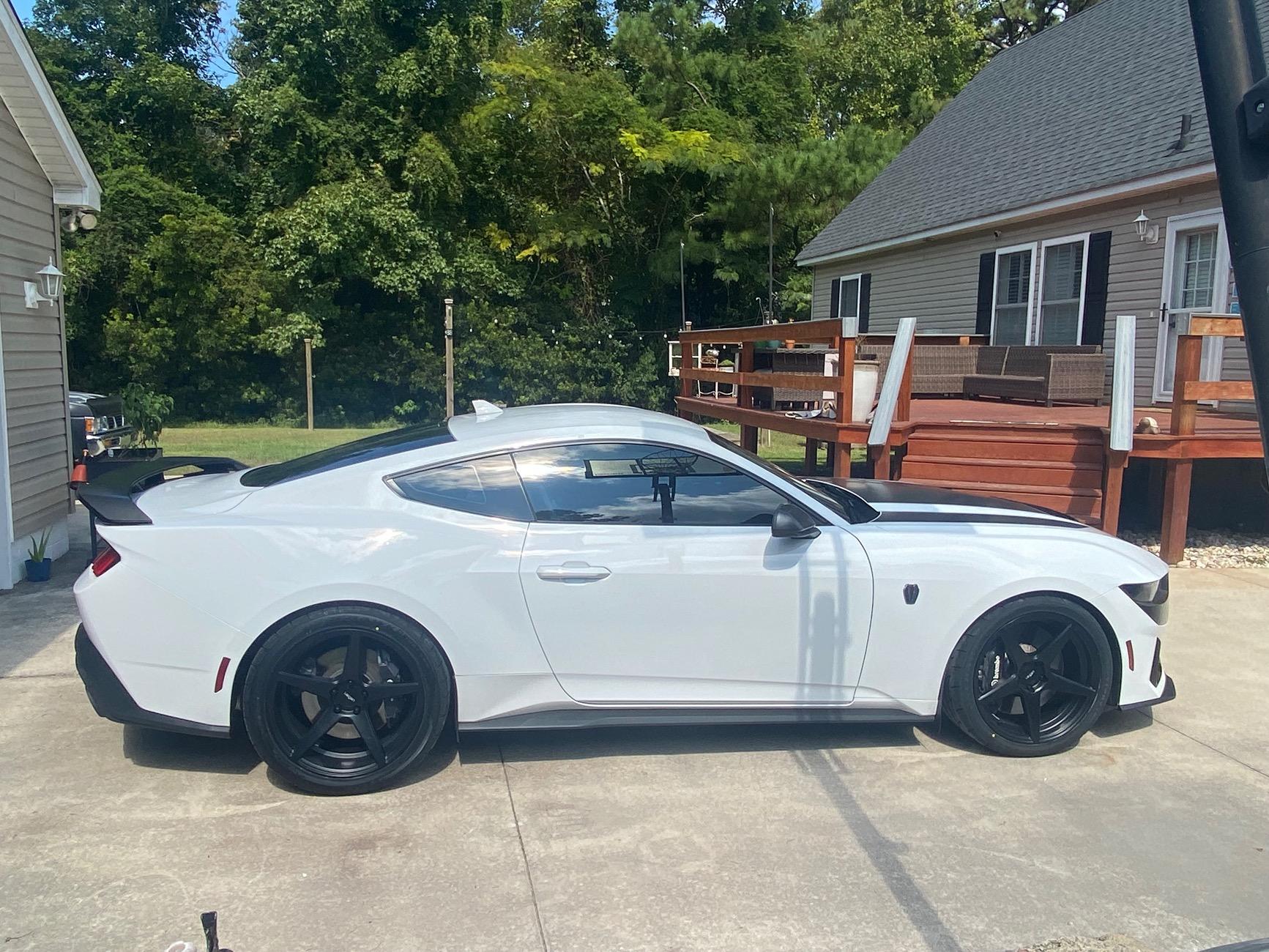S650 Mustang Gloss Black or Satin Black on an Oxford White Dark Horse IMG_7913