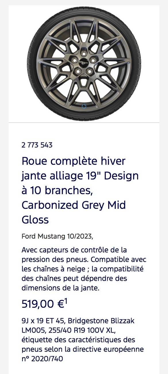 S650 Mustang Snow chains IMG_7917