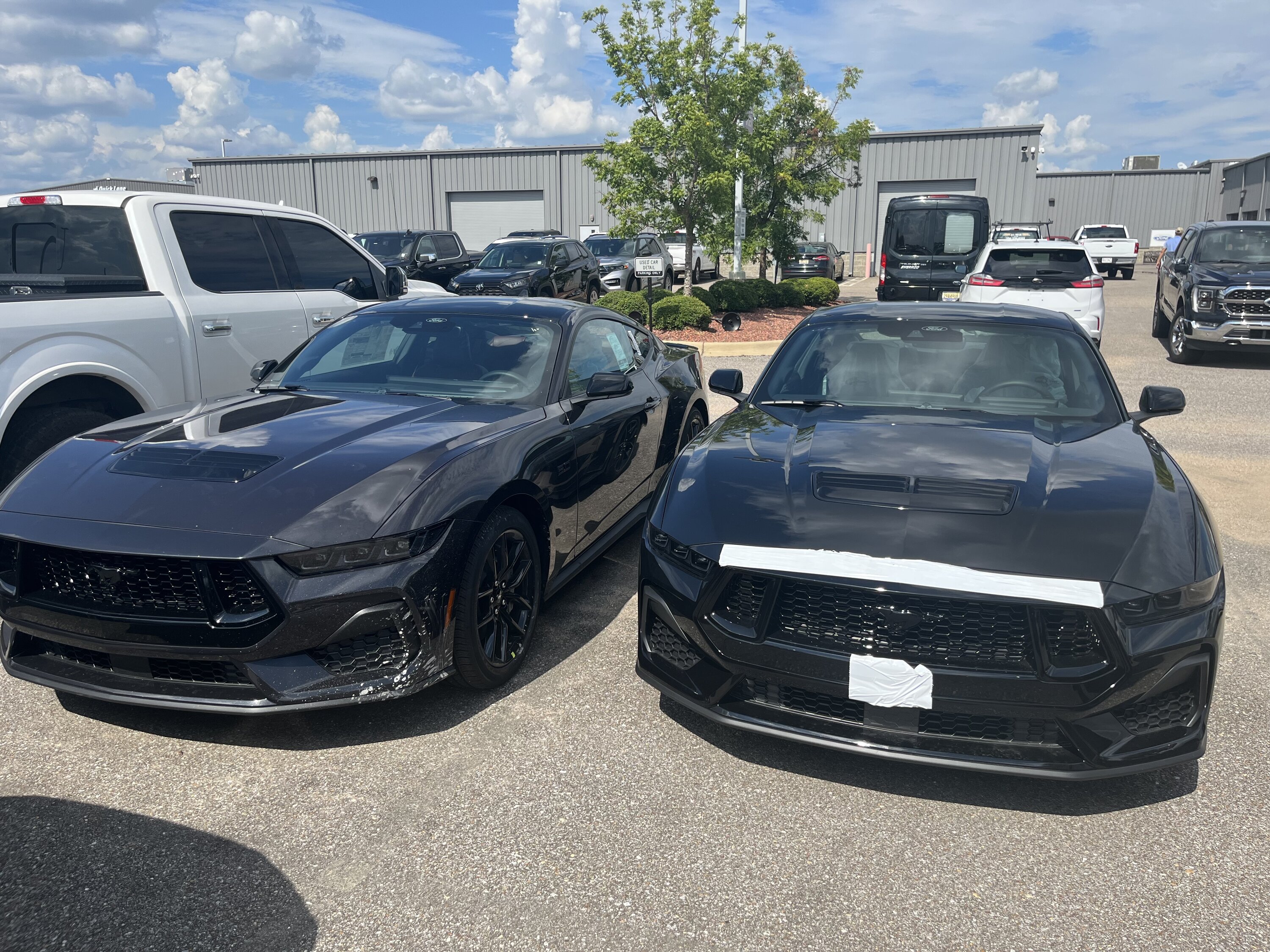 S650 Mustang Dealer just unexpectedly received 4 GTs!! IMG_7923