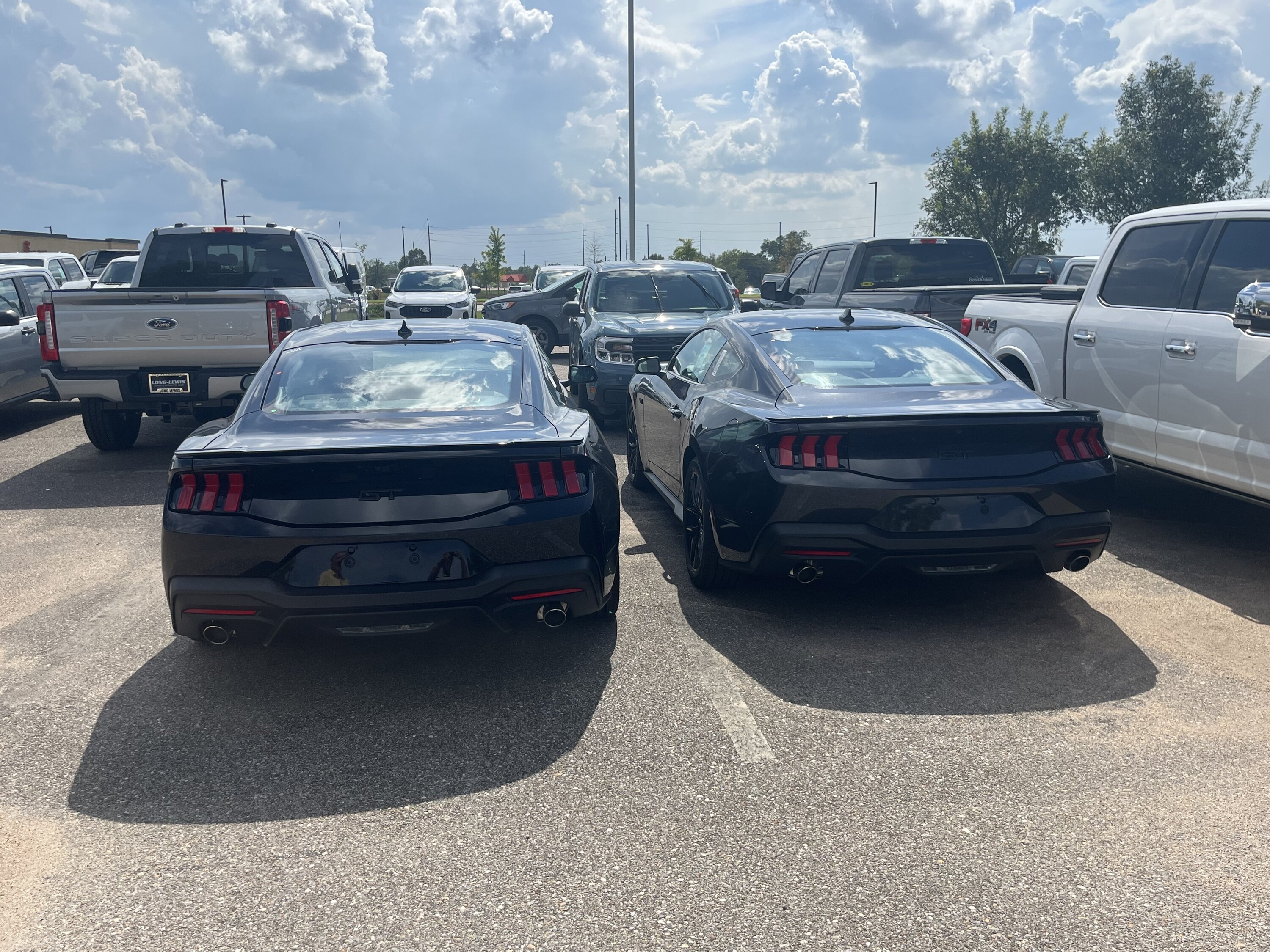 S650 Mustang Dealer just unexpectedly received 4 GTs!! IMG_7925