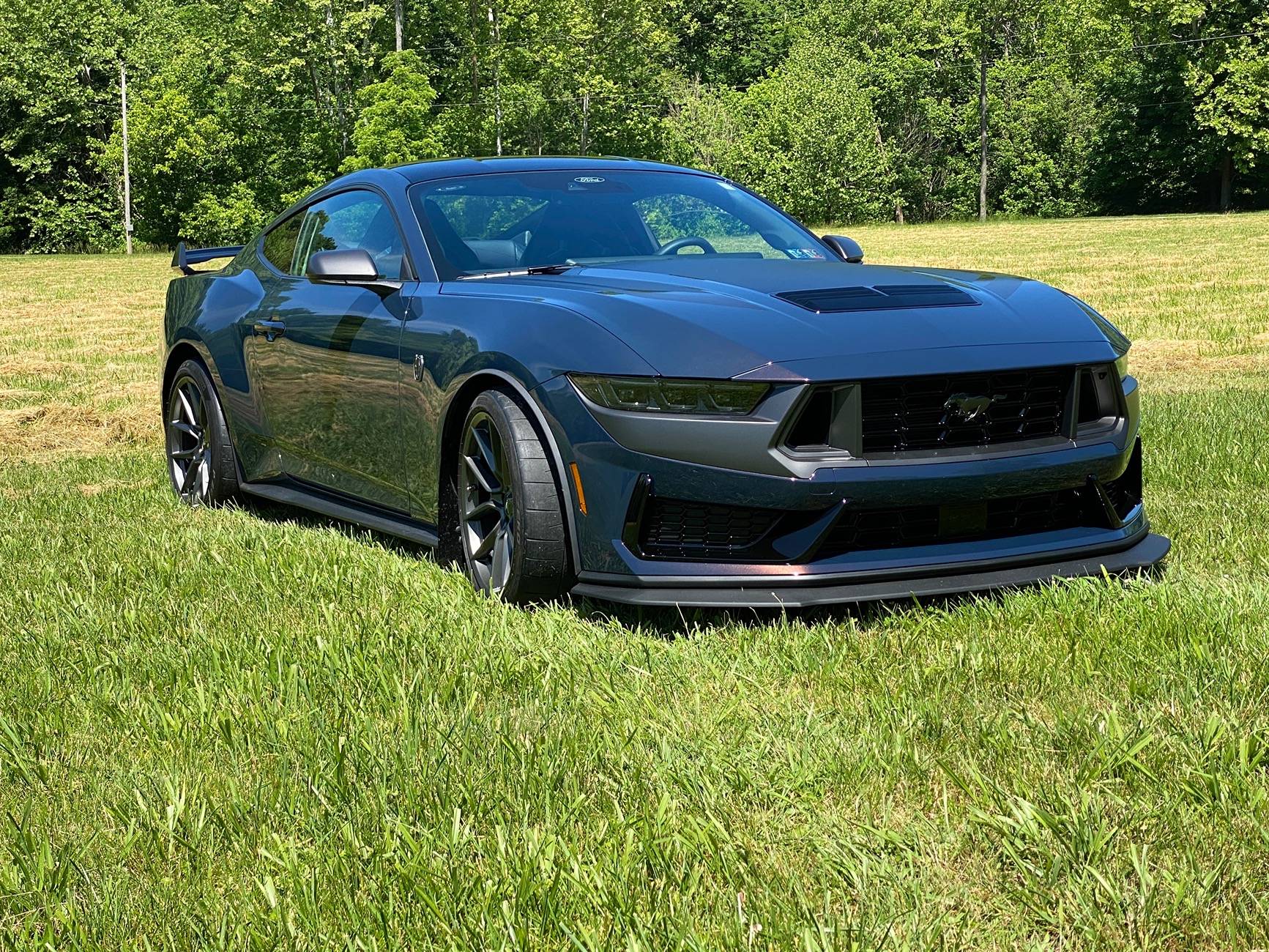 S650 Mustang Cool Daily Random S650 Mustang Pics -- Post Yours! 📸 IMG_7931