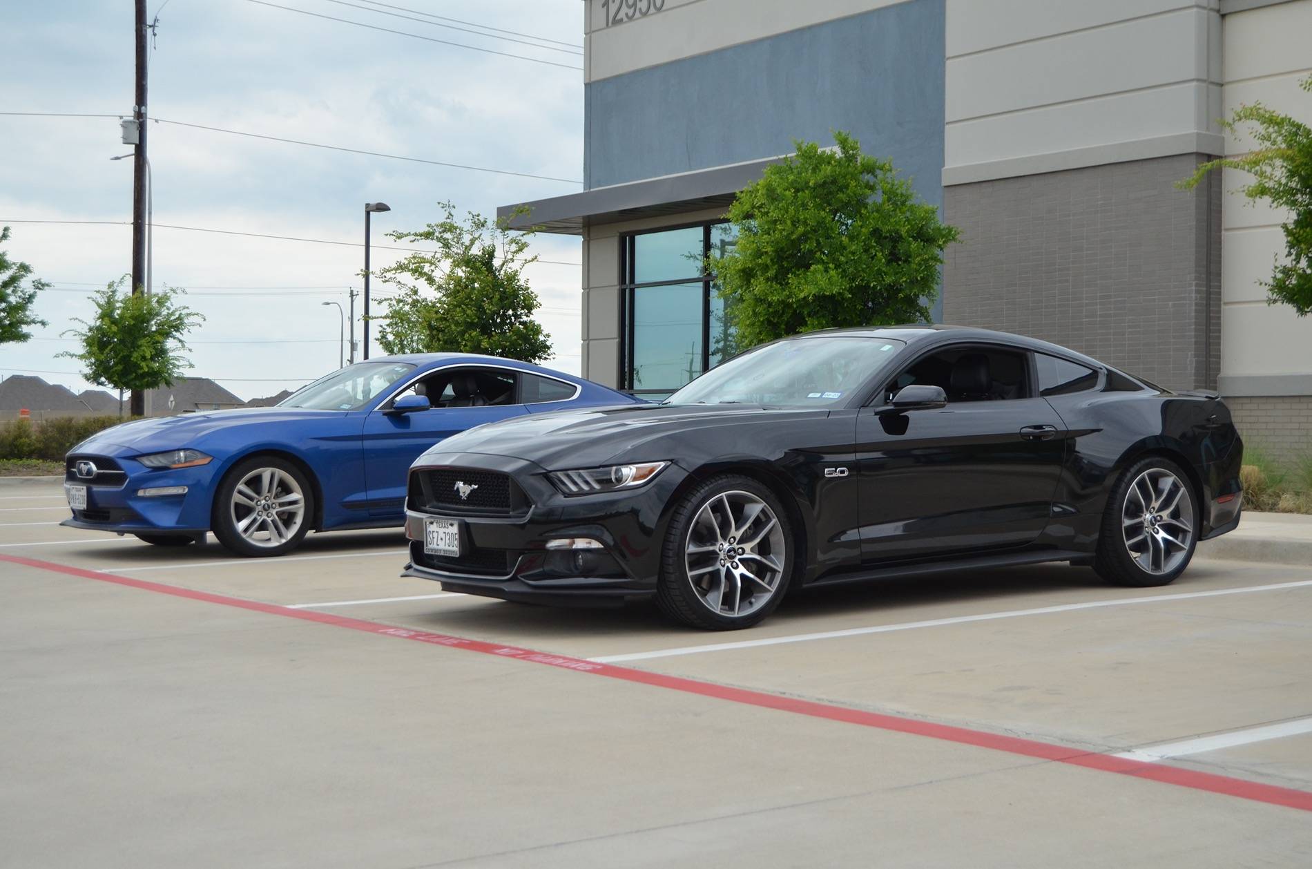 S650 Mustang How many Mustangs have owned? IMG_7999