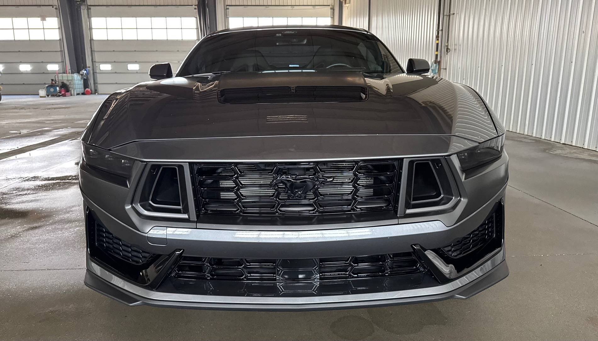 S650 Mustang Cool Daily Random S650 Mustang Pics -- Post Yours! 📸 IMG_8033