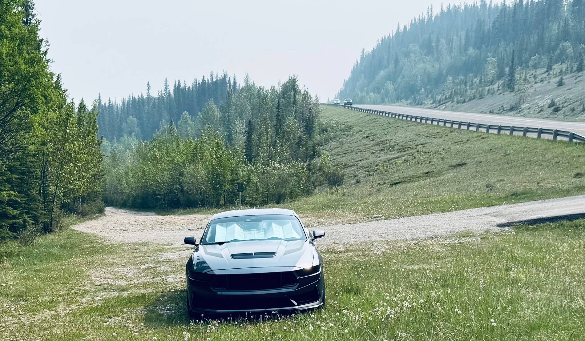 S650 Mustang Cool Daily Random S650 Mustang Pics -- Post Yours! 📸 IMG_8100
