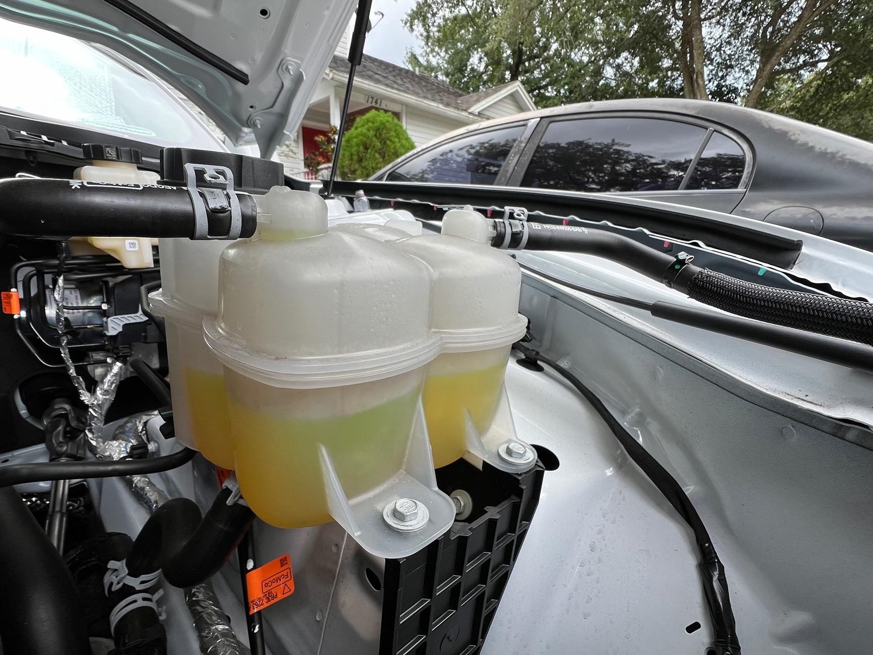S650 Mustang Your coolant look good? IMG_8110