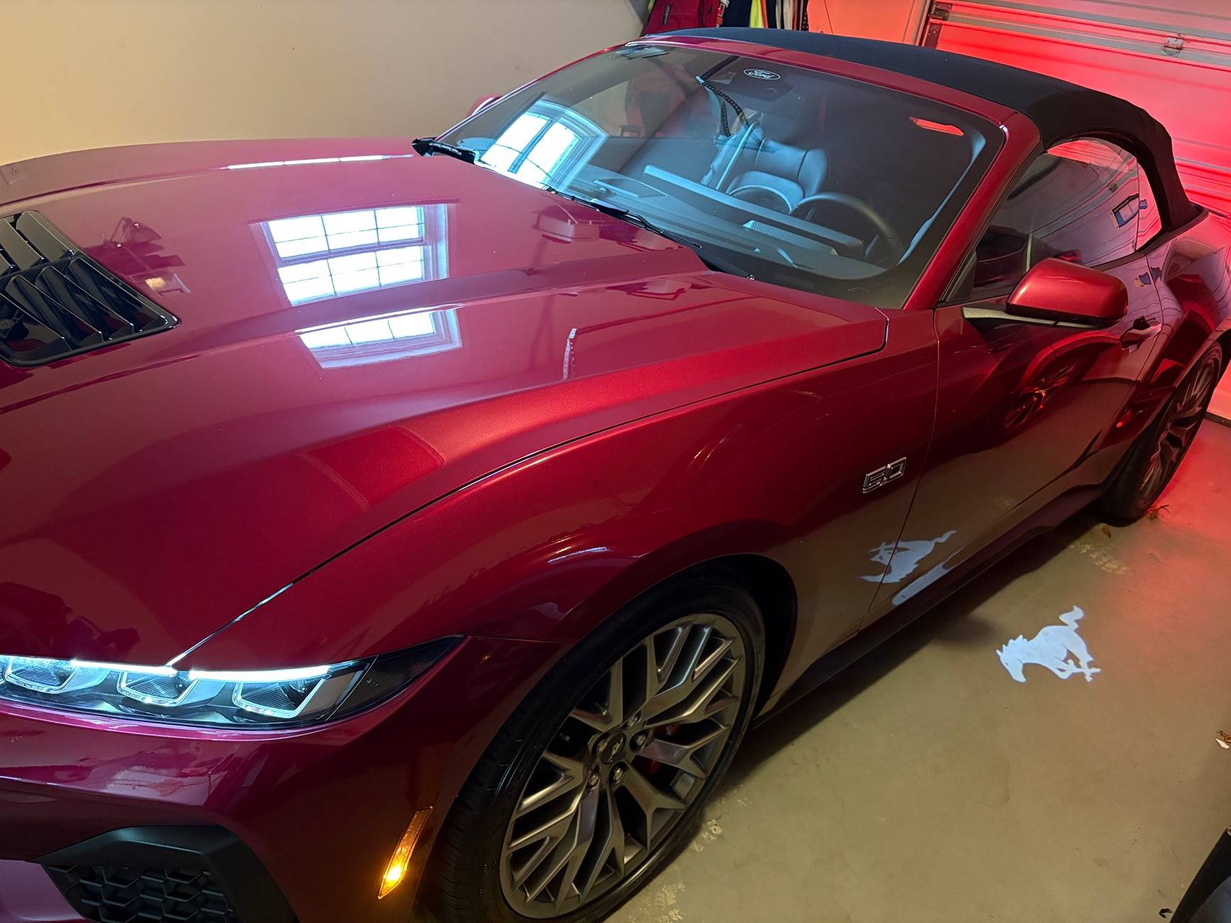 S650 Mustang Any Molten Magenta cars spotted yet? IMG_8141