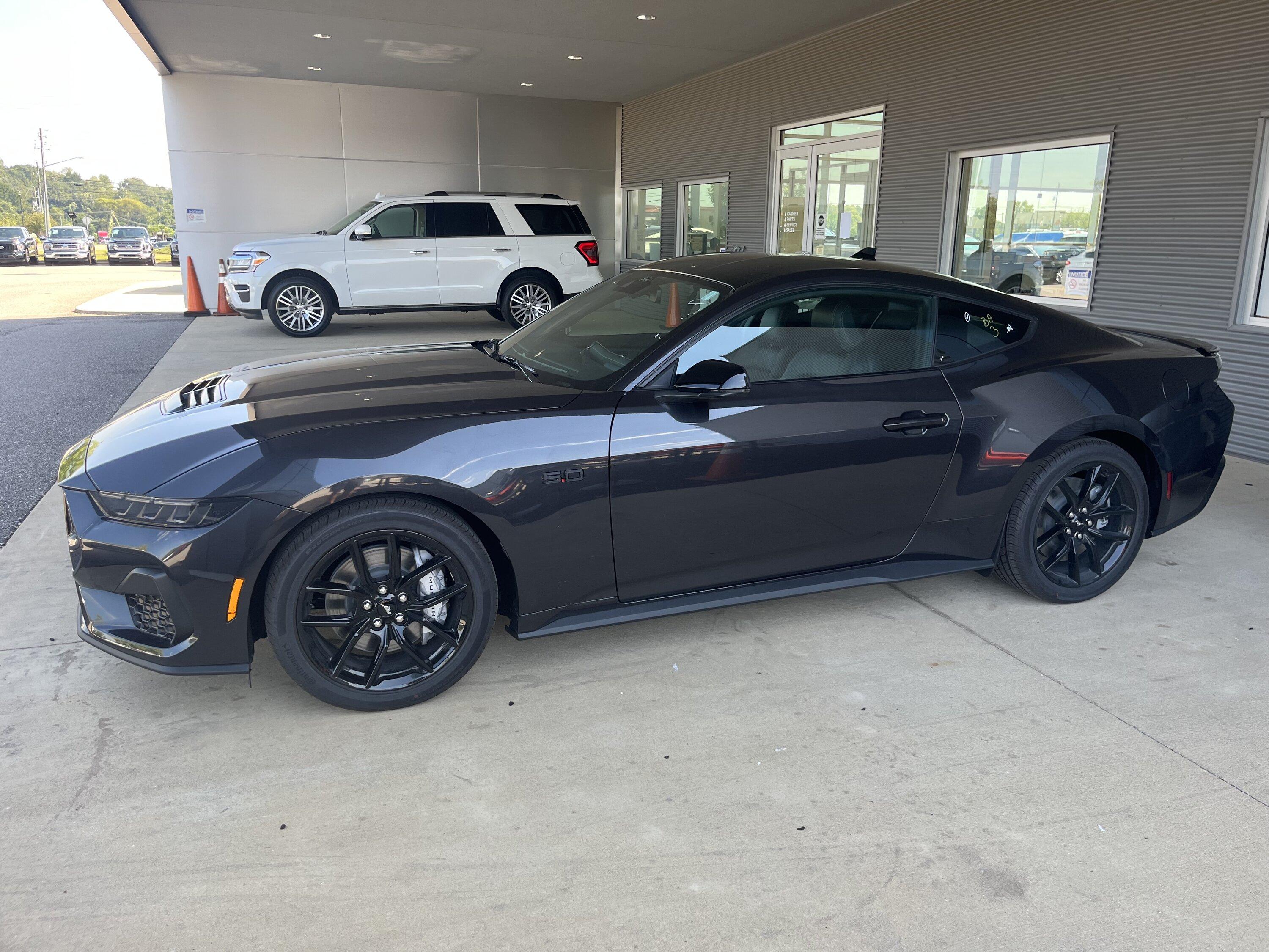 S650 Mustang Official DARK MATTER GRAY Mustang S650 Thread IMG_8173