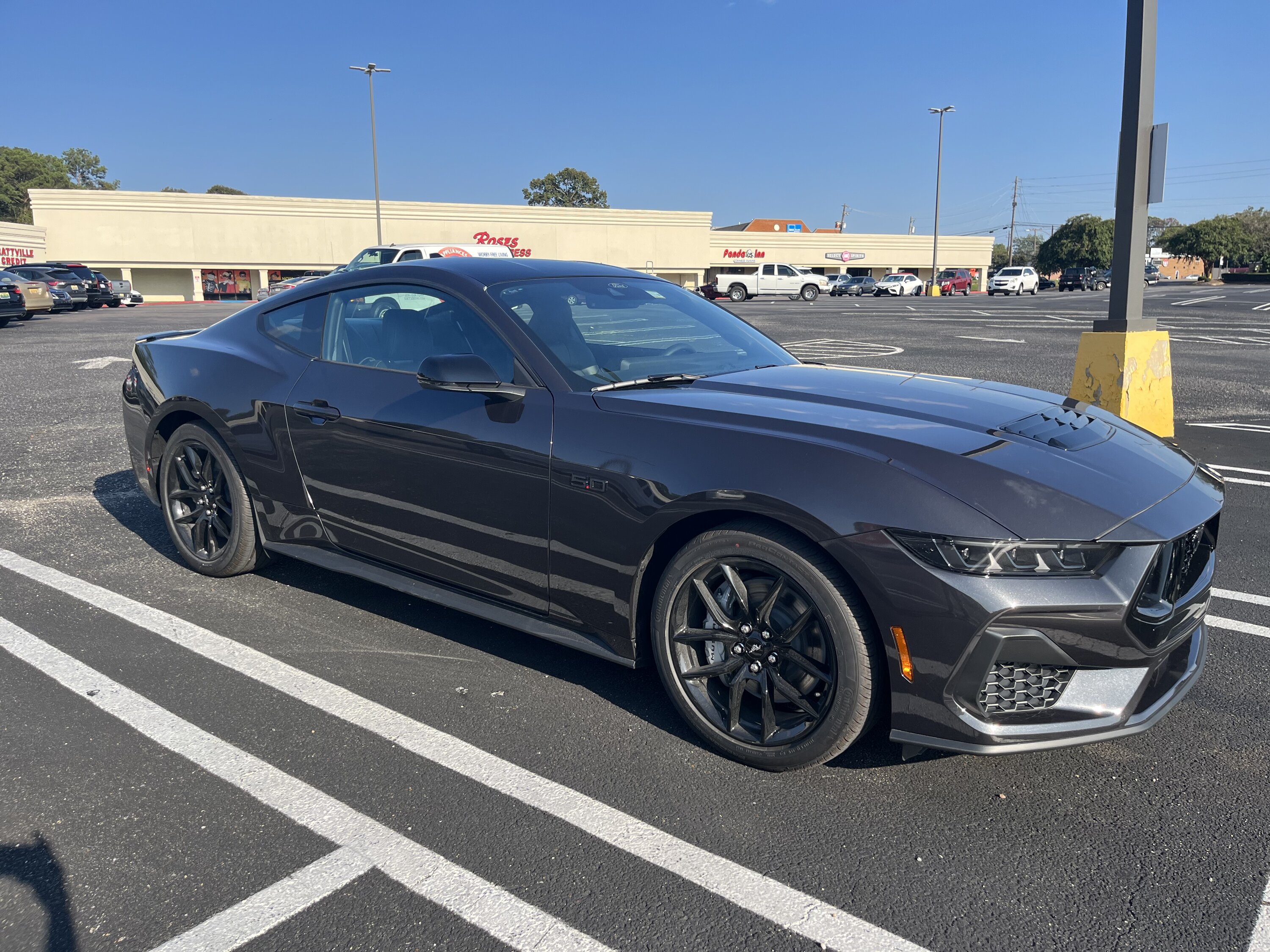 S650 Mustang 10Basscat’s Dark Matter Gray GT IMG_8185