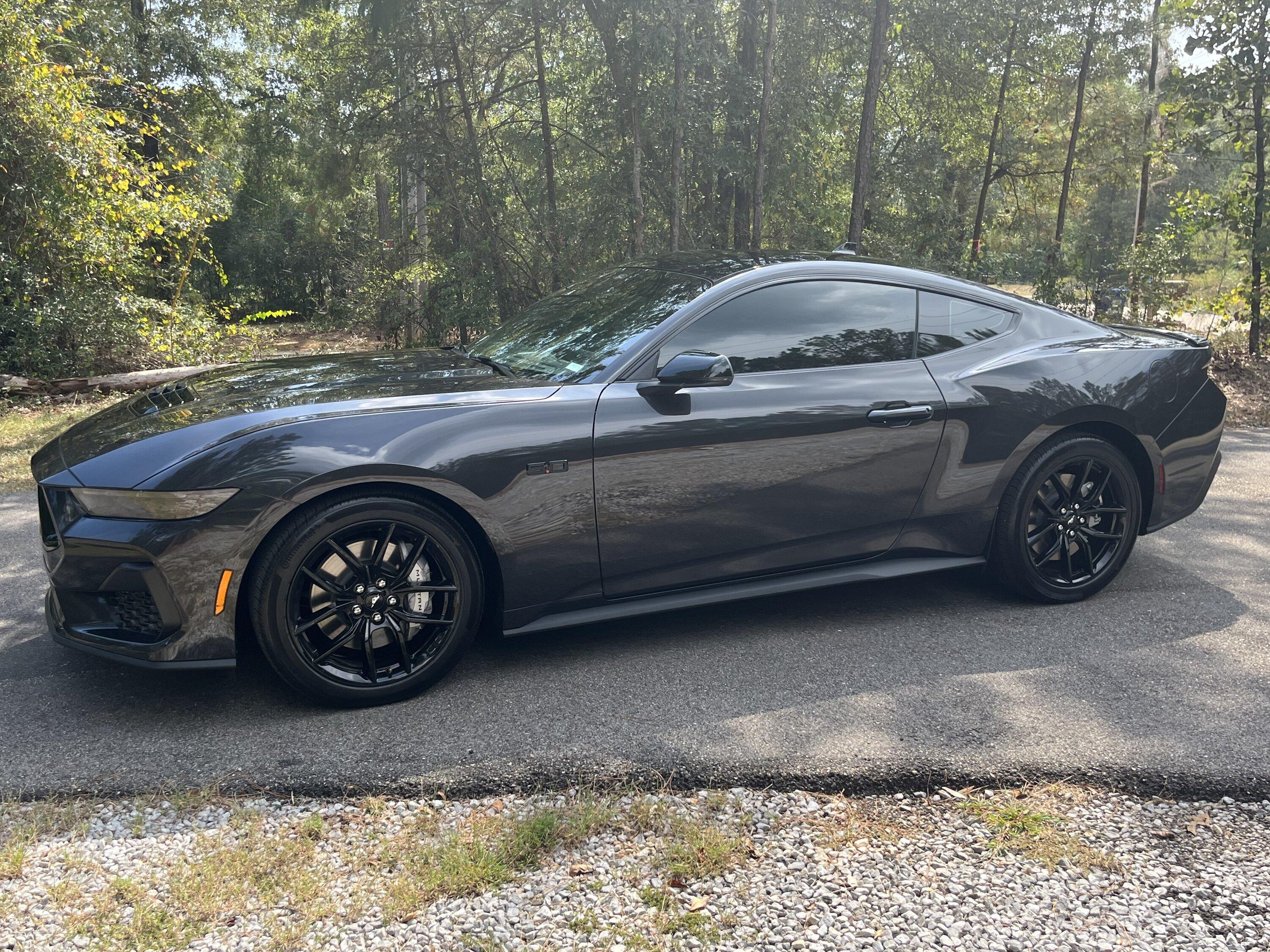 S650 Mustang 10Basscat’s Dark Matter Gray GT IMG_8228