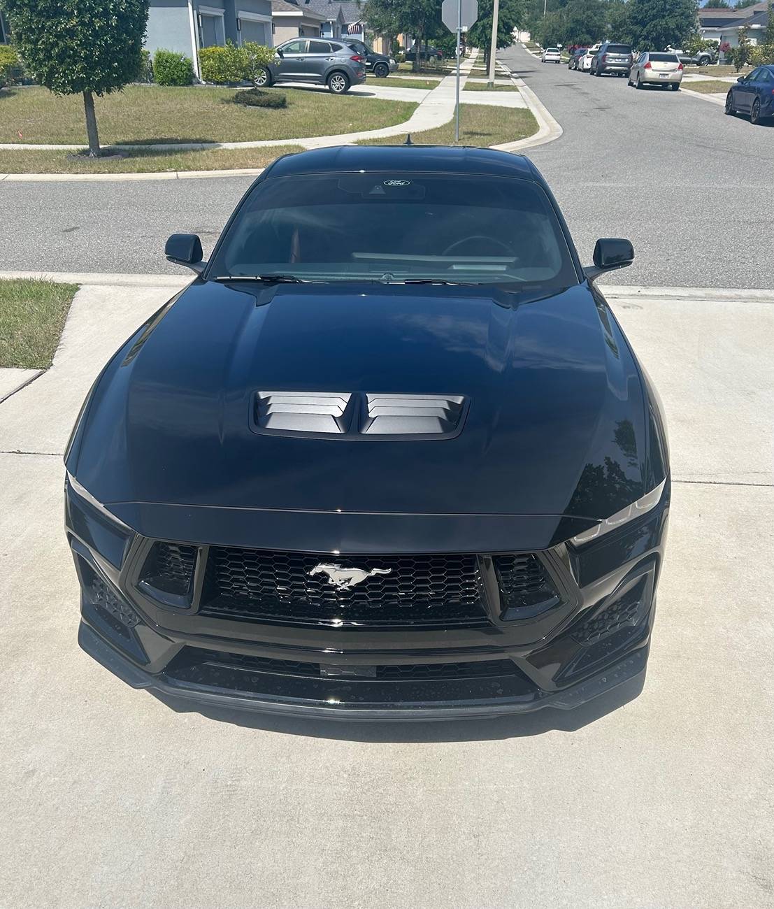 S650 Mustang GT Hood Insert Available in Matte Black? IMG_8229