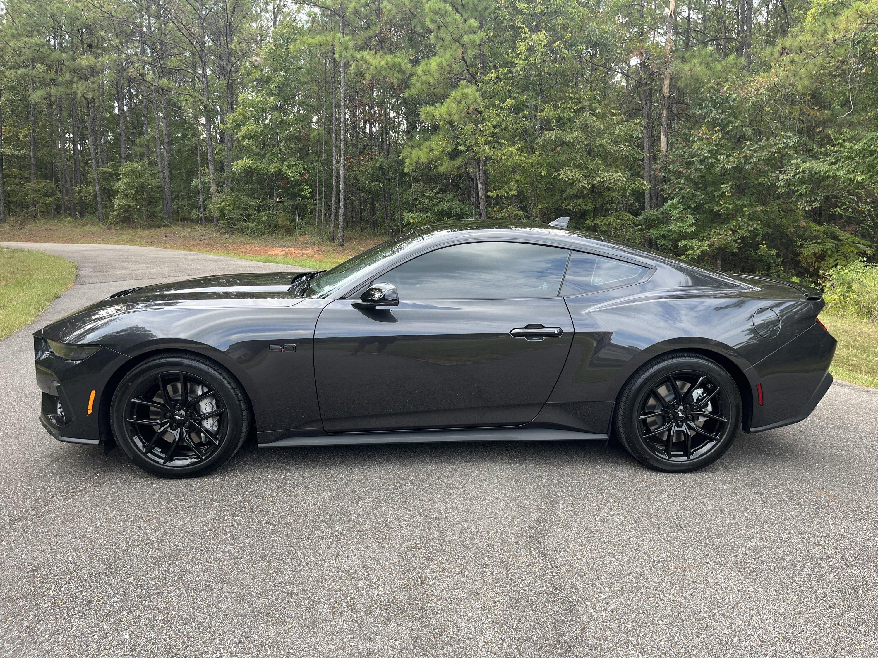 S650 Mustang 10Basscat’s Dark Matter Gray GT IMG_8242