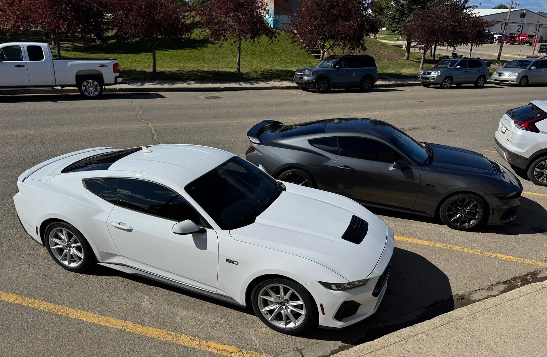 S650 Mustang Official OXFORD WHITE Mustang S650 Thread IMG_8254