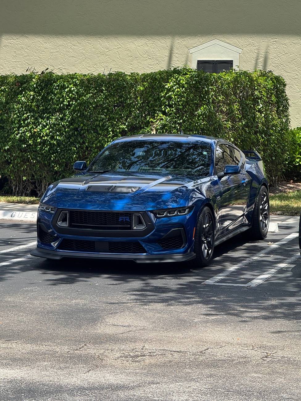 S650 Mustang Cool Daily Random S650 Mustang Pics -- Post Yours! 📸 IMG_8256
