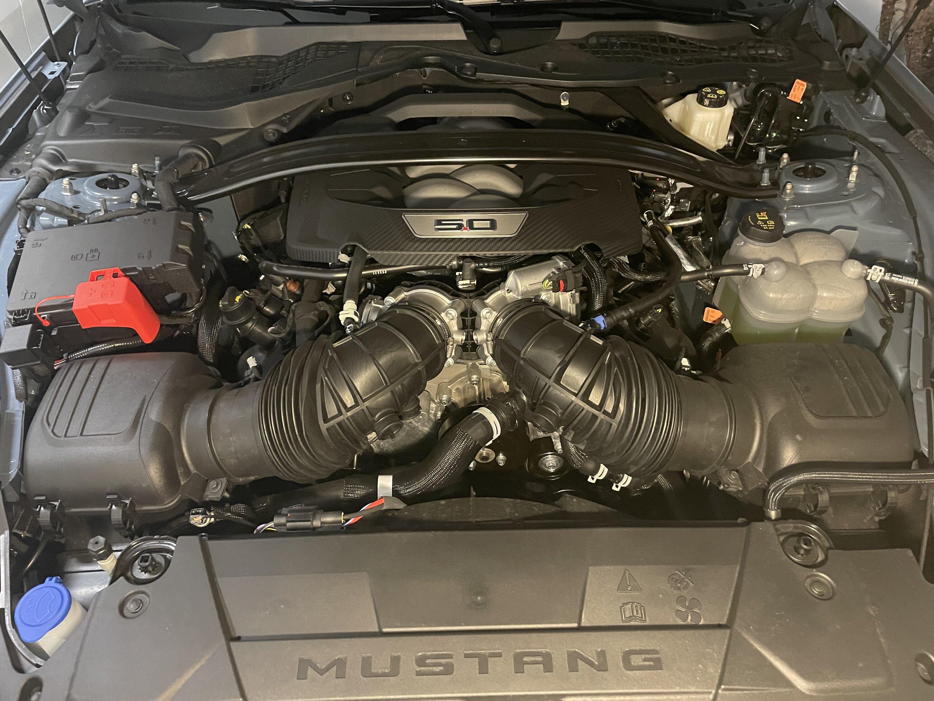S650 Mustang Official VAPOR BLUE Mustang S650 Thread IMG_8391