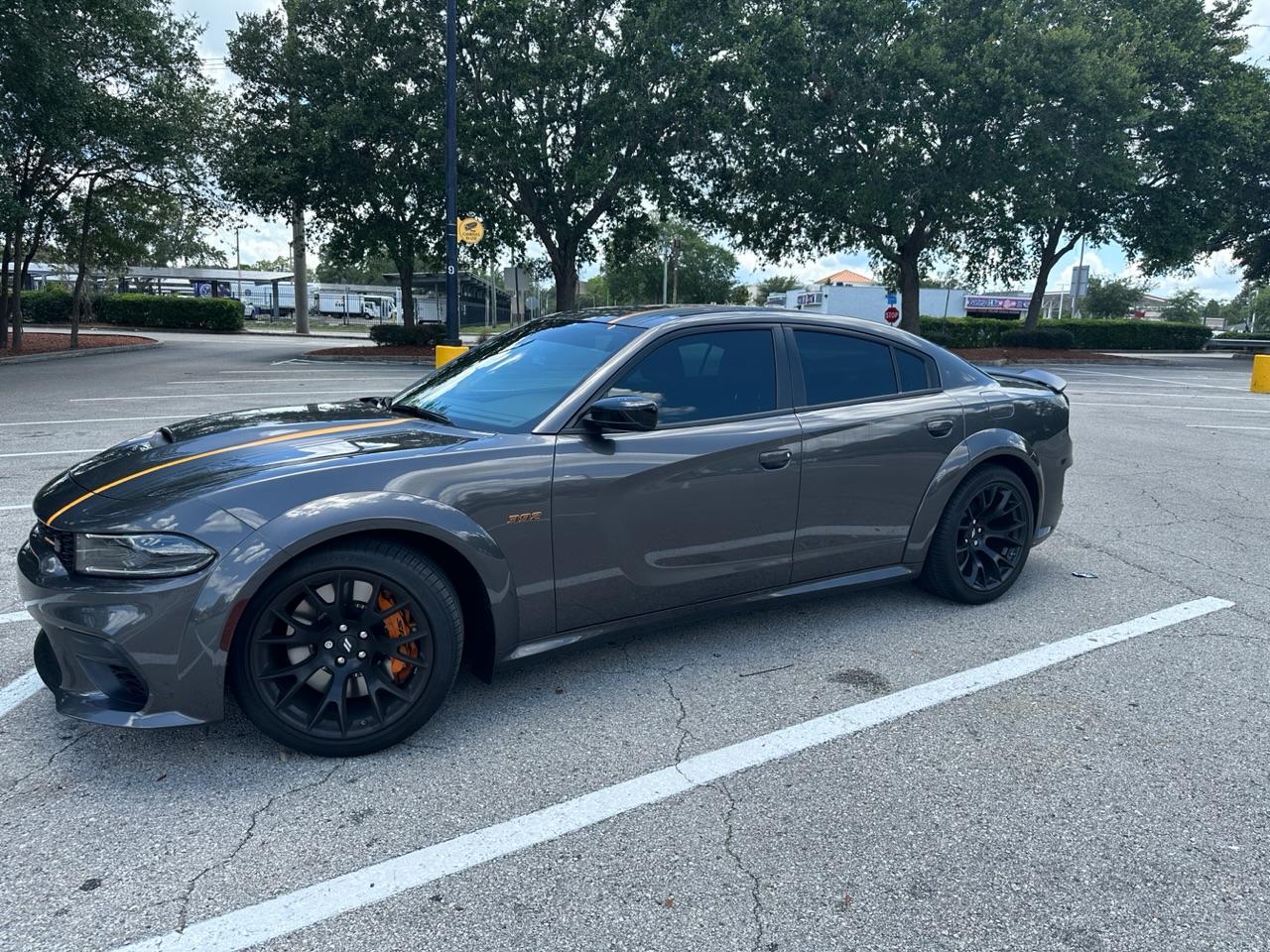 S650 Mustang If you're not getting a Mustang now, what are you doing until then? IMG_8435