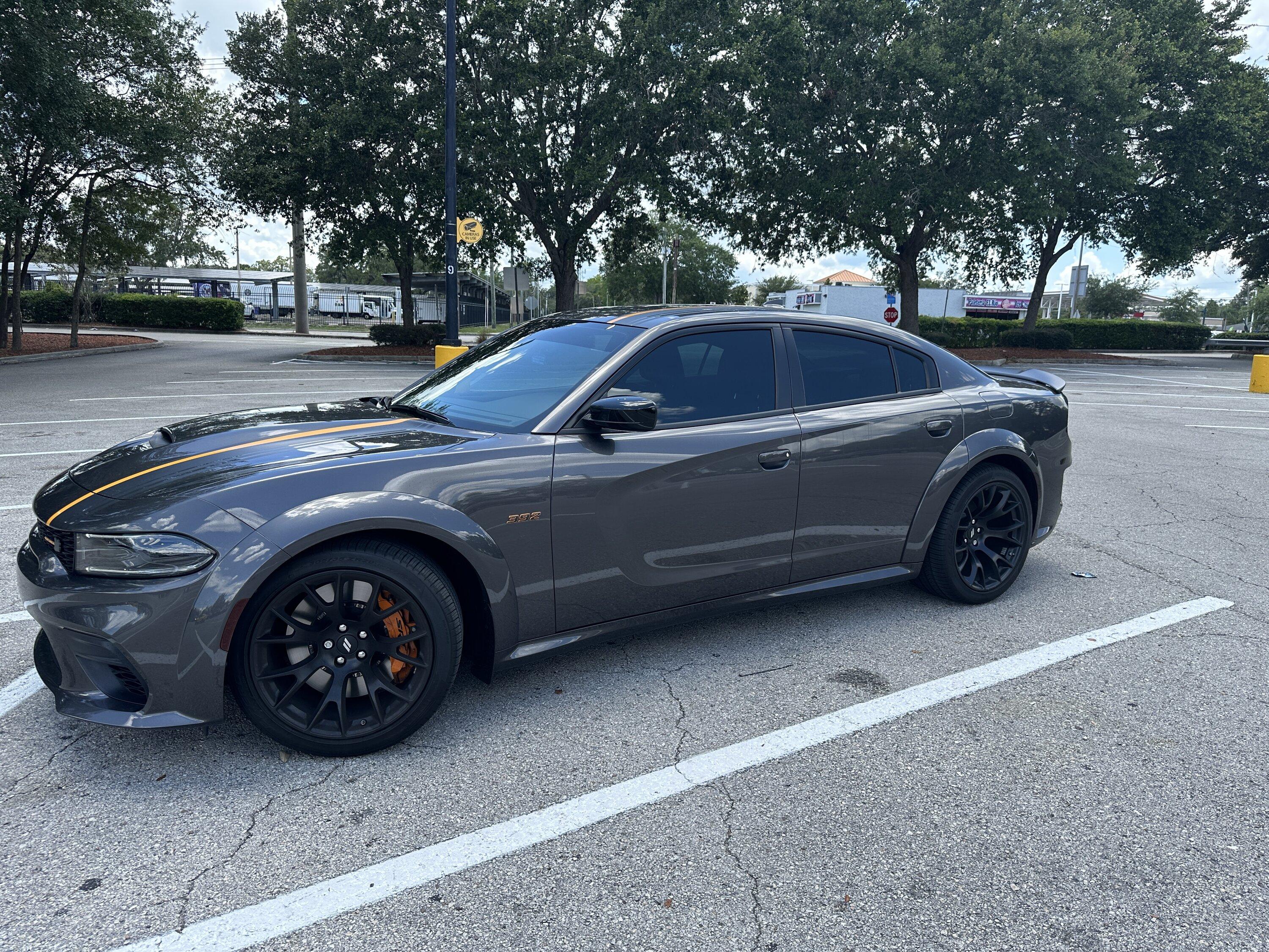 S650 Mustang What would you do....I'm torn IMG_8435