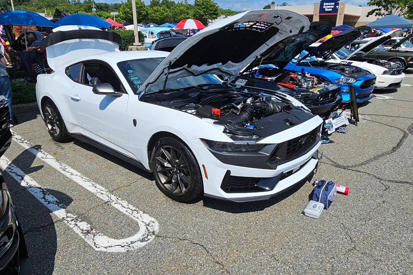 S650 Mustang Official OXFORD WHITE Mustang S650 Thread IMG_8440